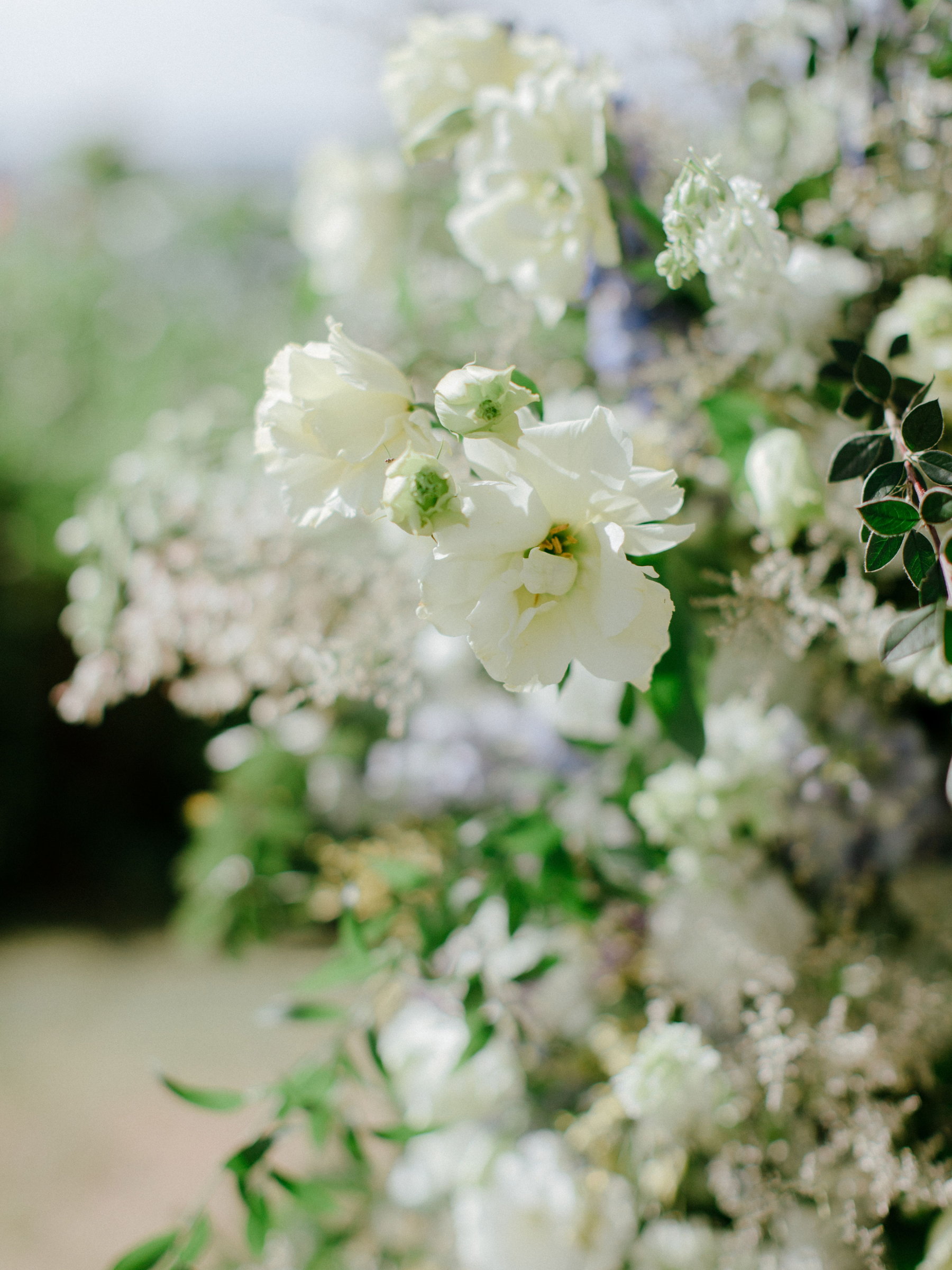 Yichen &amp; Qiming's Intimate Escape at Andaz Maui At Wailea Resort - A Concept by Hyatt photo
