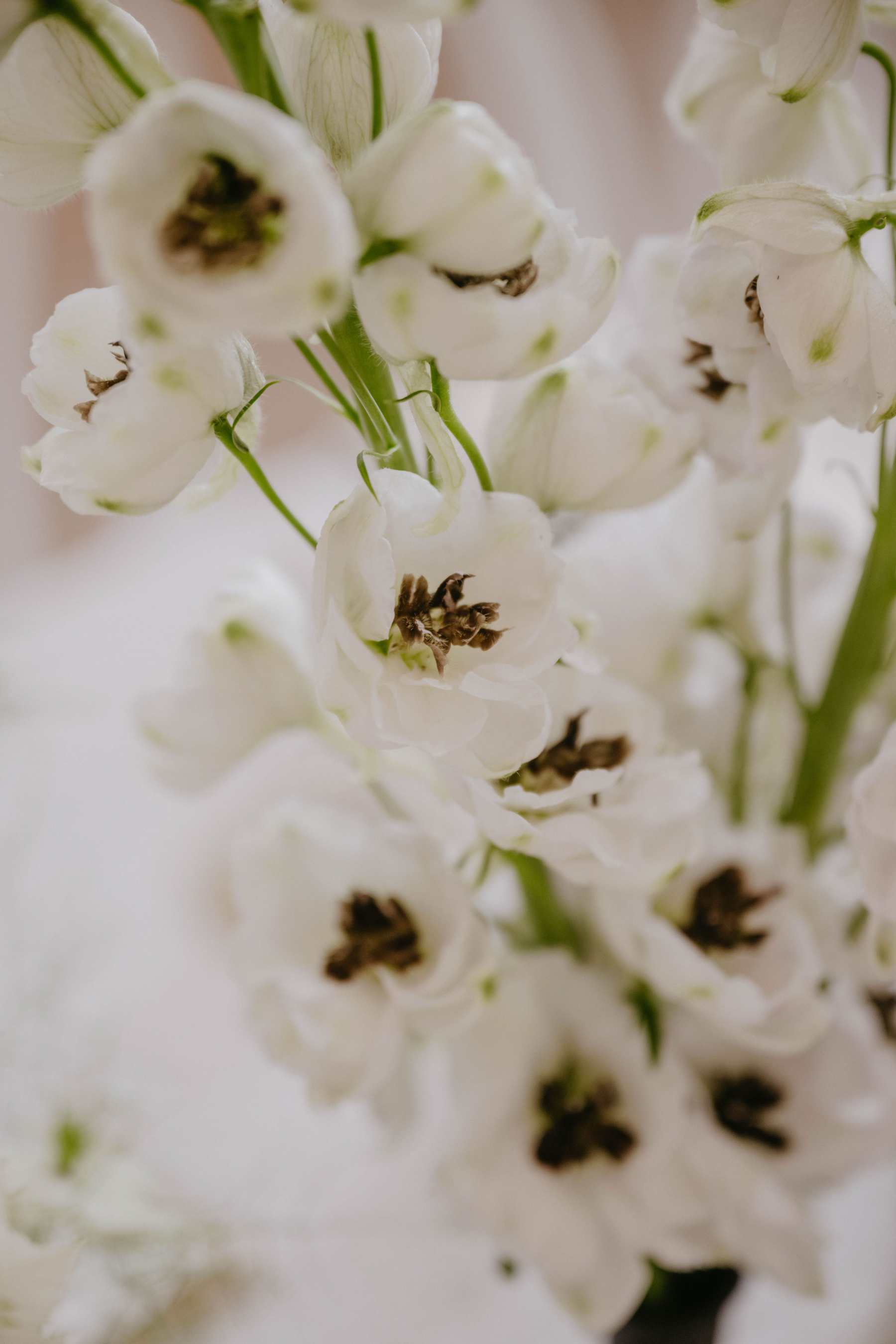 Olivia &amp; Liam's Enchanted Day at K-Haus: Swiping Right to Forever photo