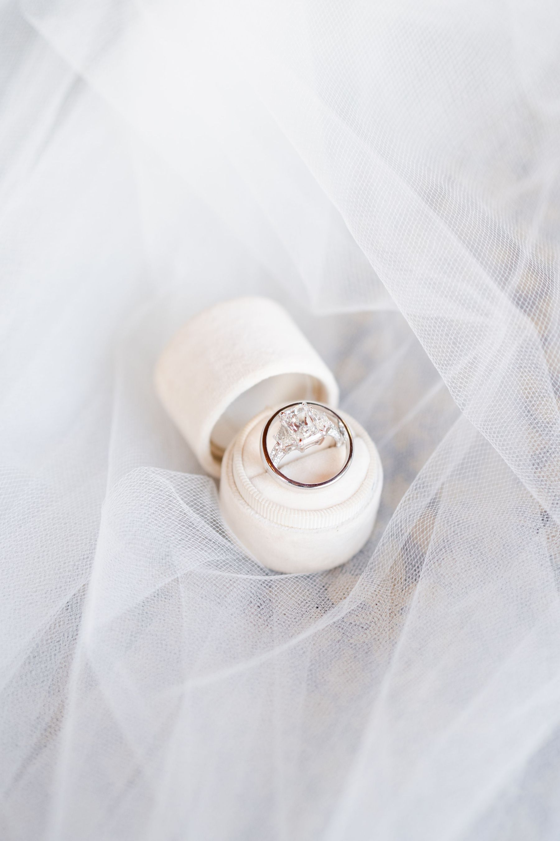 Sunsets and Serenades: Liz &amp; Daniel's Montecito Magic at Bella Vista Estate photo