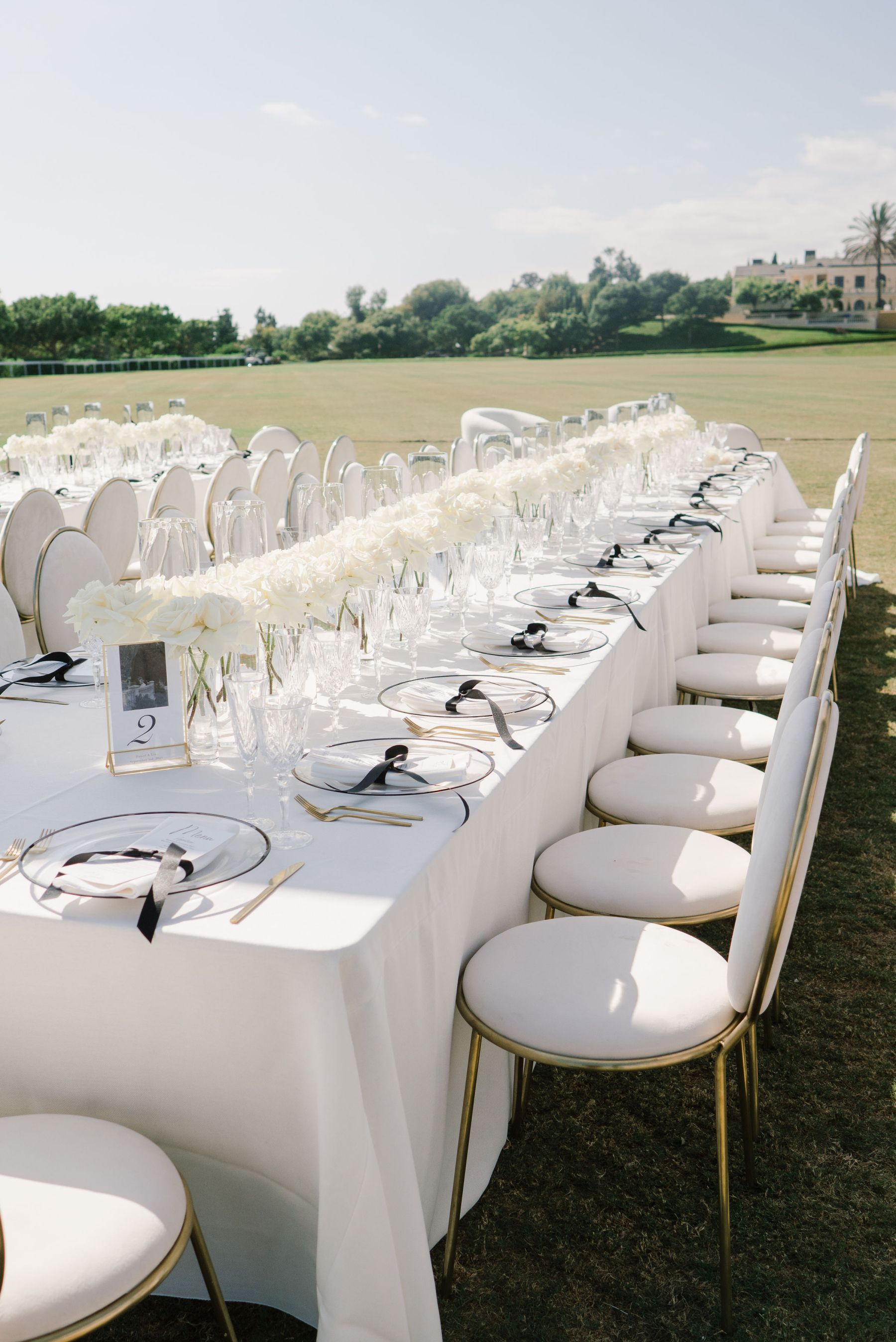 Sunsets and Serenades: Liz &amp; Daniel's Montecito Magic at Bella Vista Estate photo