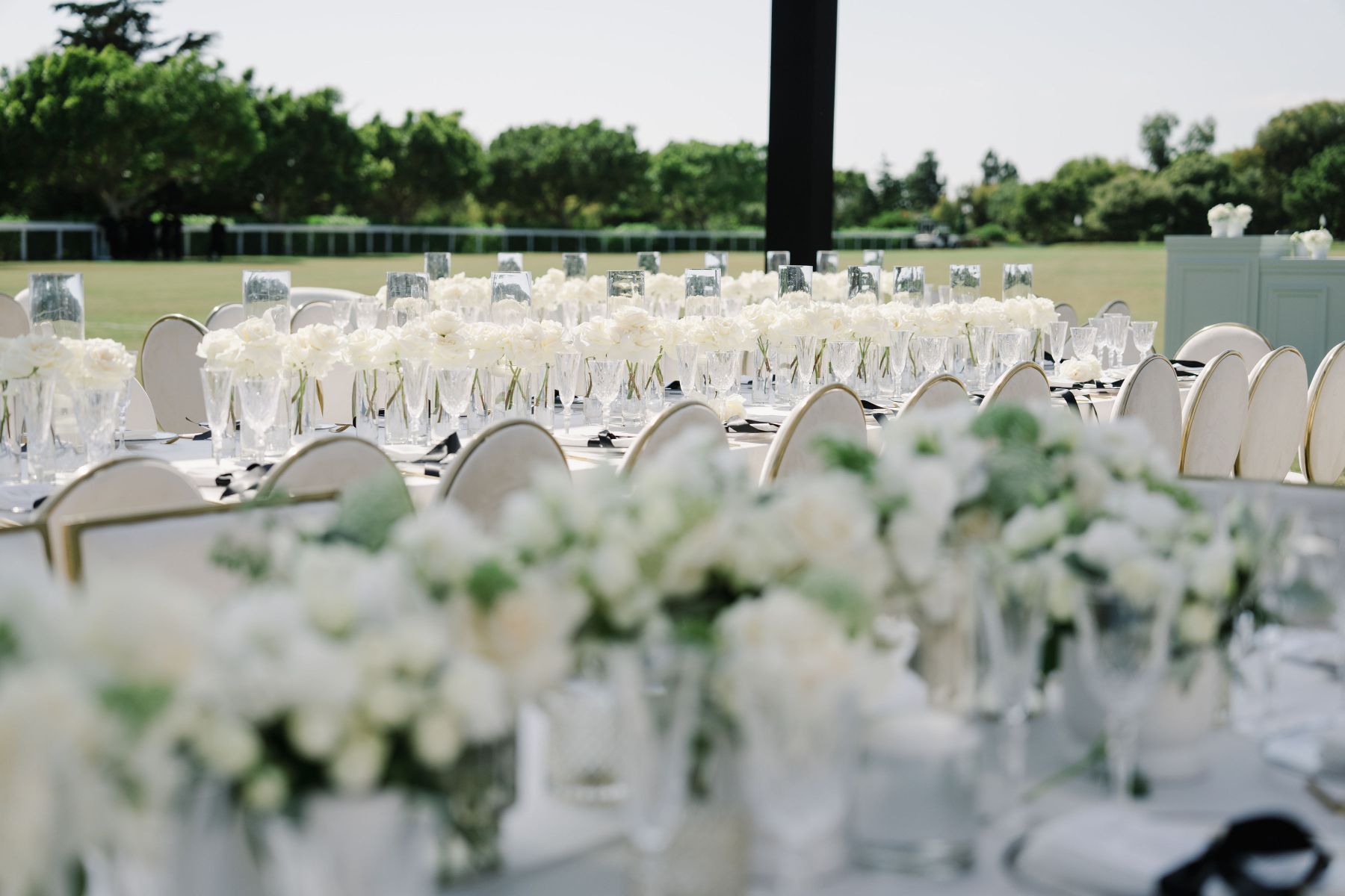 Sunsets and Serenades: Liz &amp; Daniel's Montecito Magic at Bella Vista Estate photo