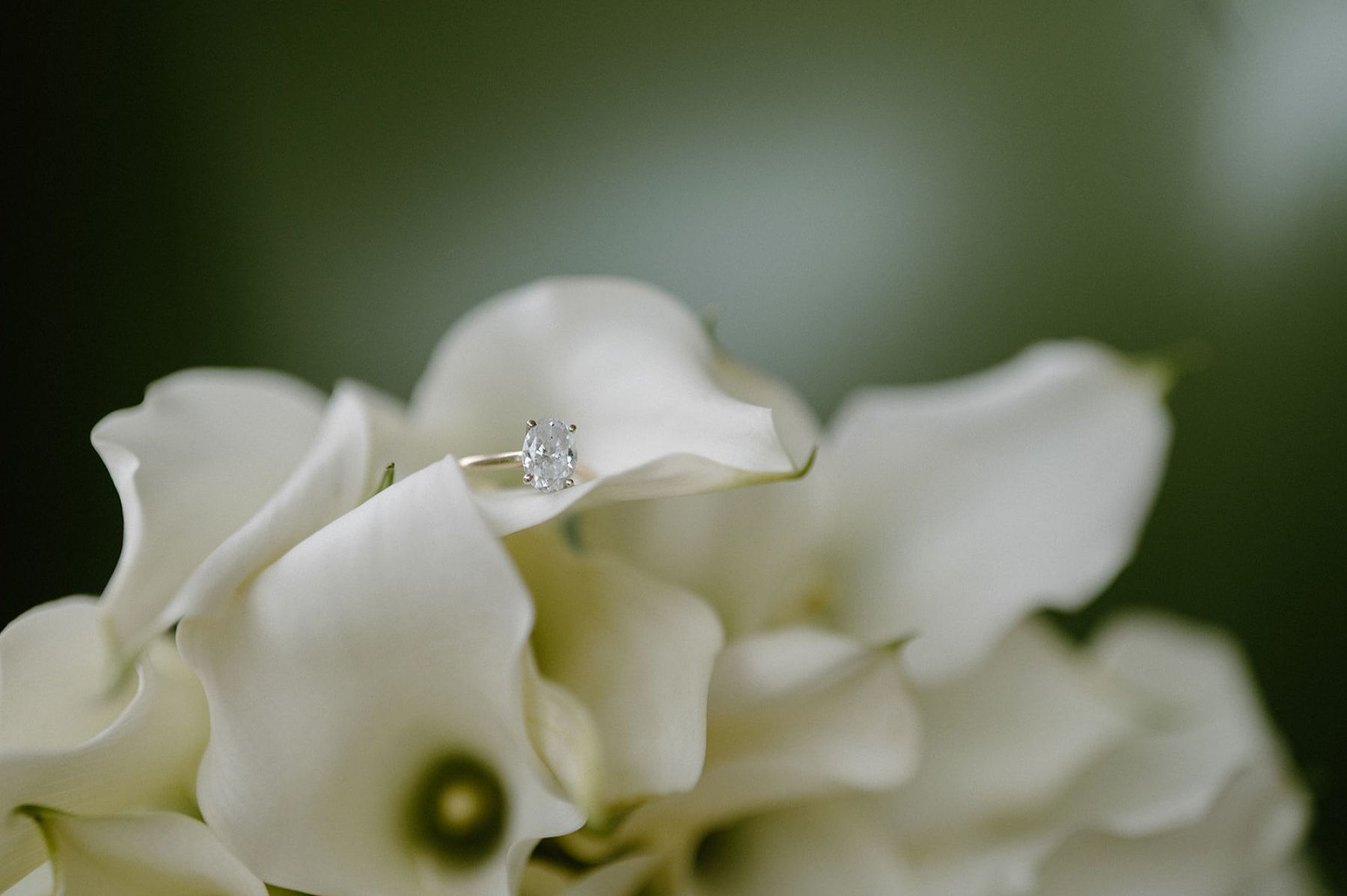 Tender Moments: Sara &amp; Alex’s Dreamy Day at Parents House on Lake Vernon photo