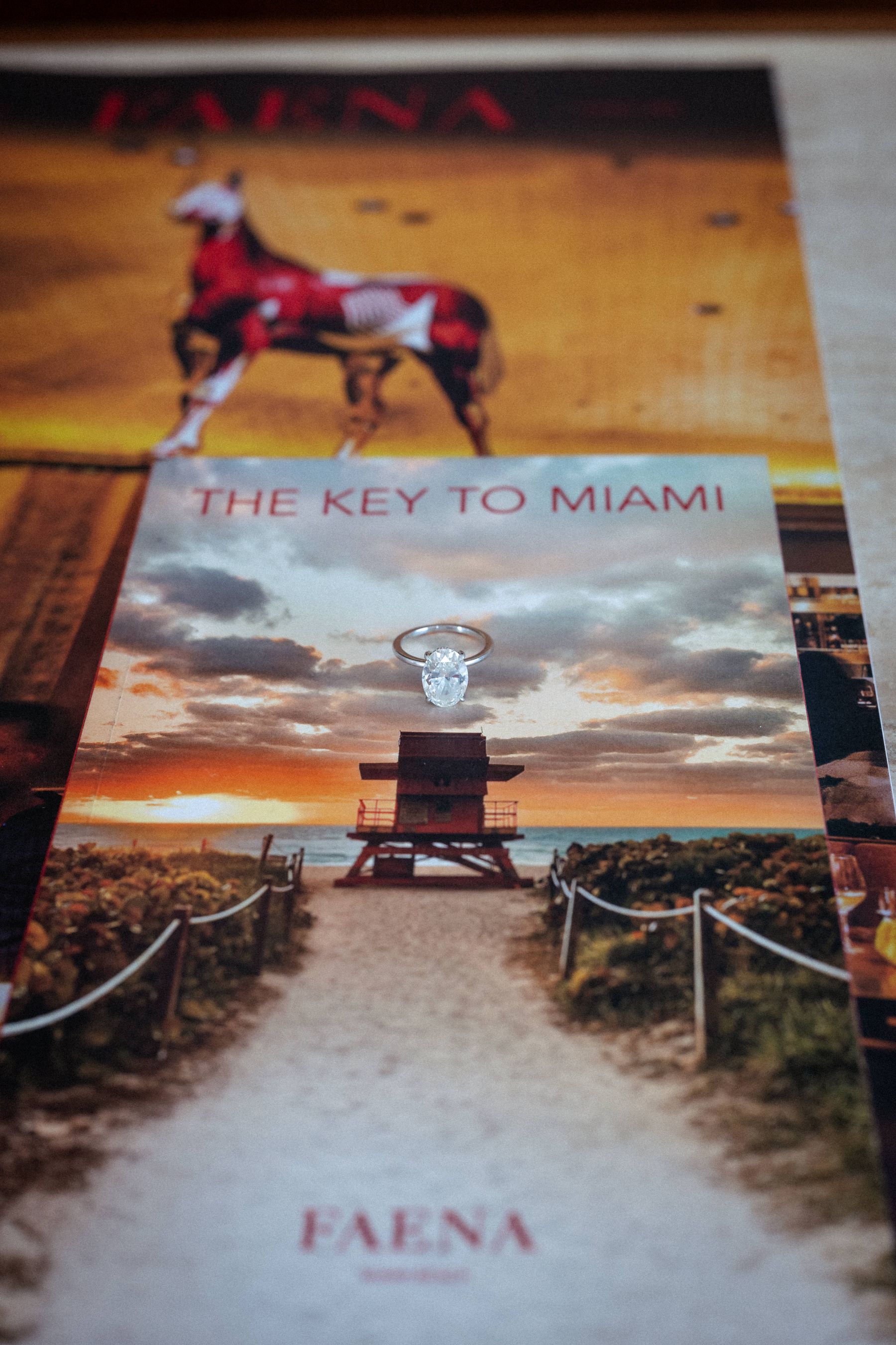 The Unforgettable Union of Nicole &amp; Alex at Faena Miami Beach photo