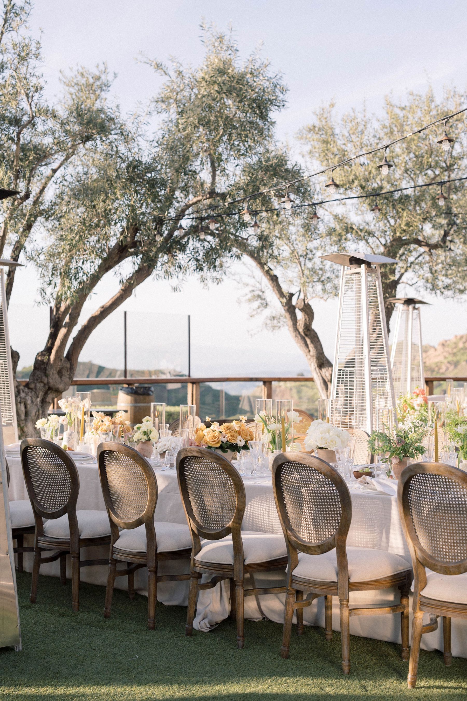 Debbie &amp; Jorge's Melodic Matrimony at Cielo Farms photo