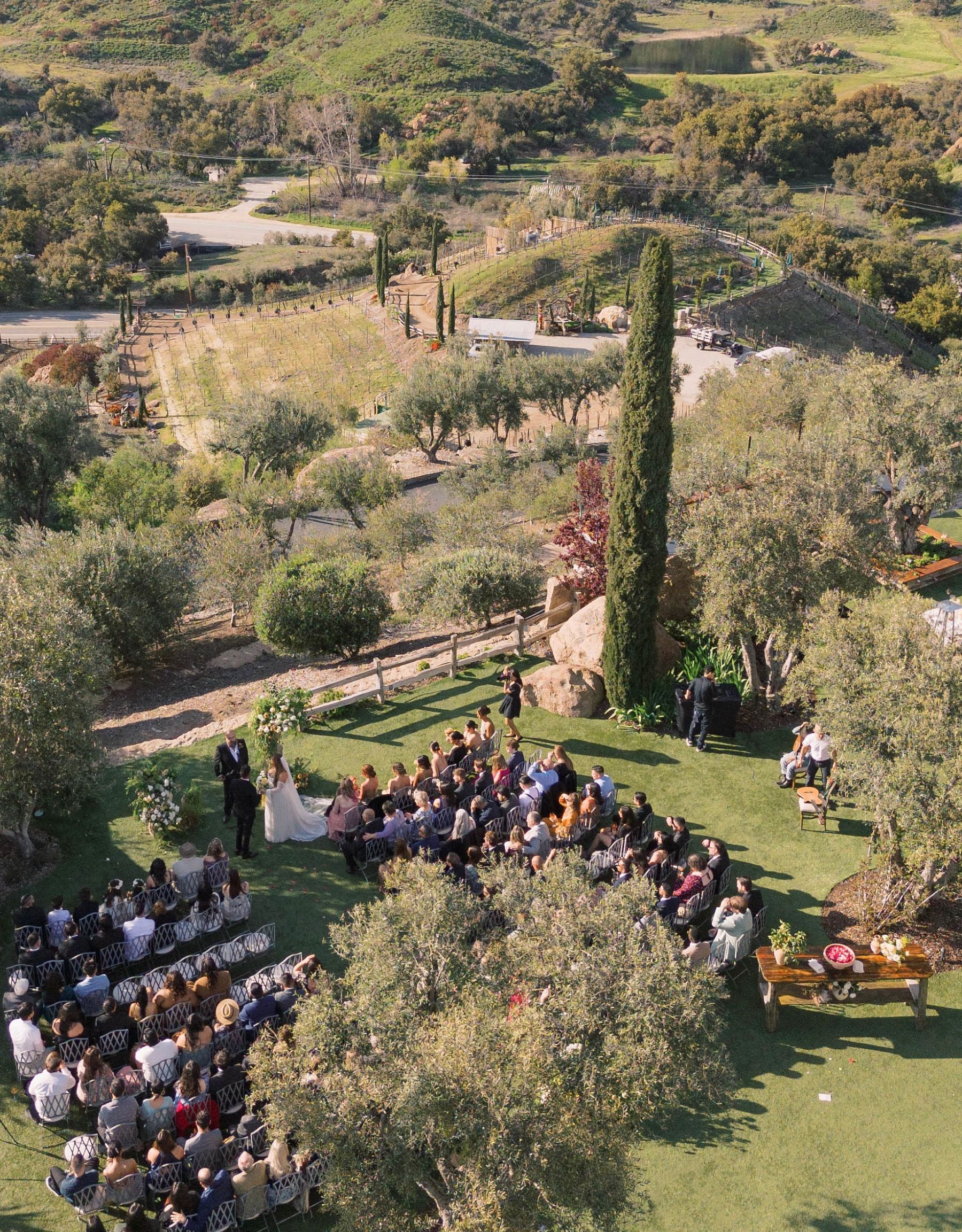 Debbie &amp; Jorge's Melodic Matrimony at Cielo Farms photo