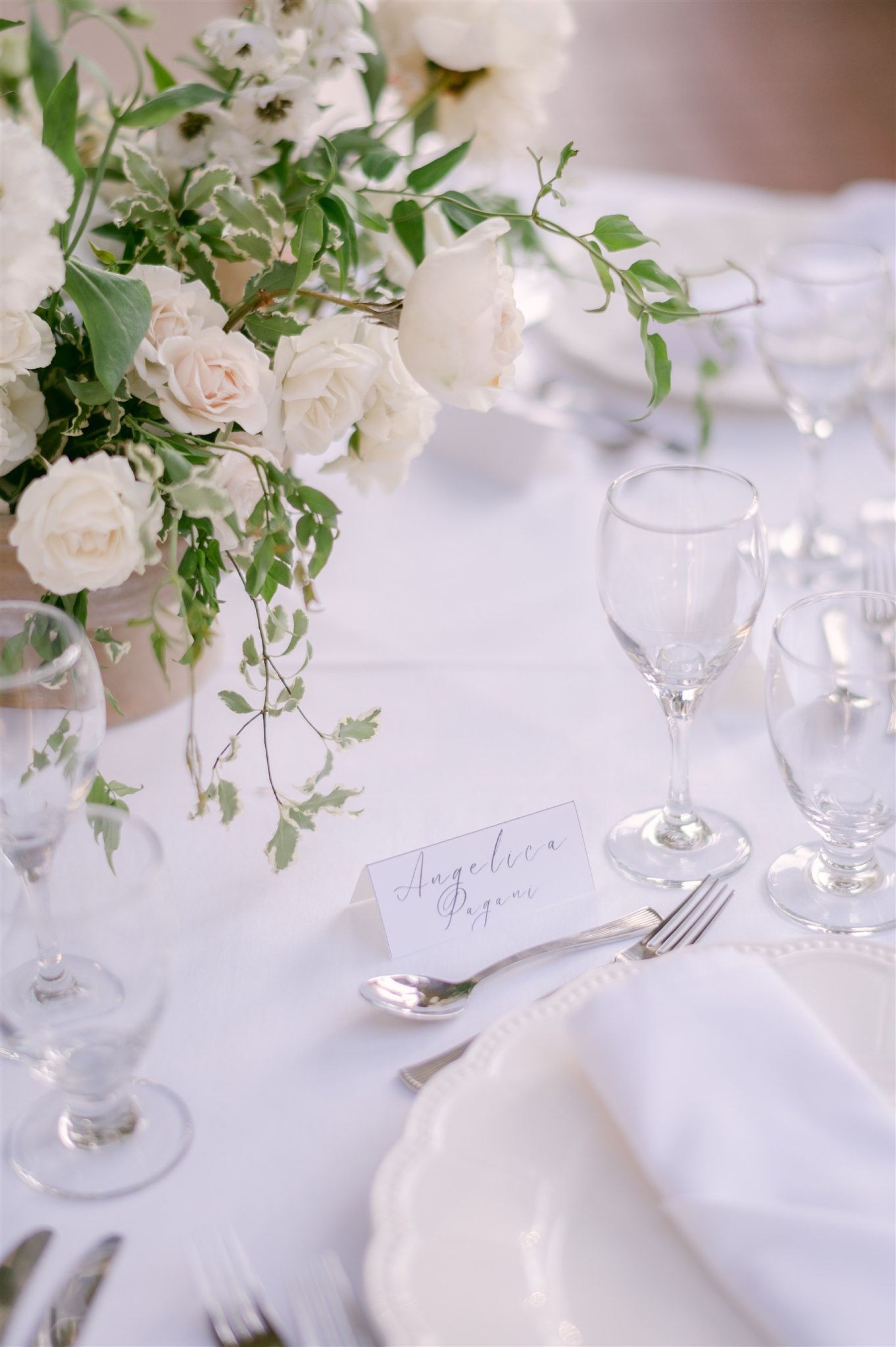 Under the Willow Tree: The Magical Journey of Sarah &amp; Nathan at VanDusen Botanical Garden and Hycroft photo