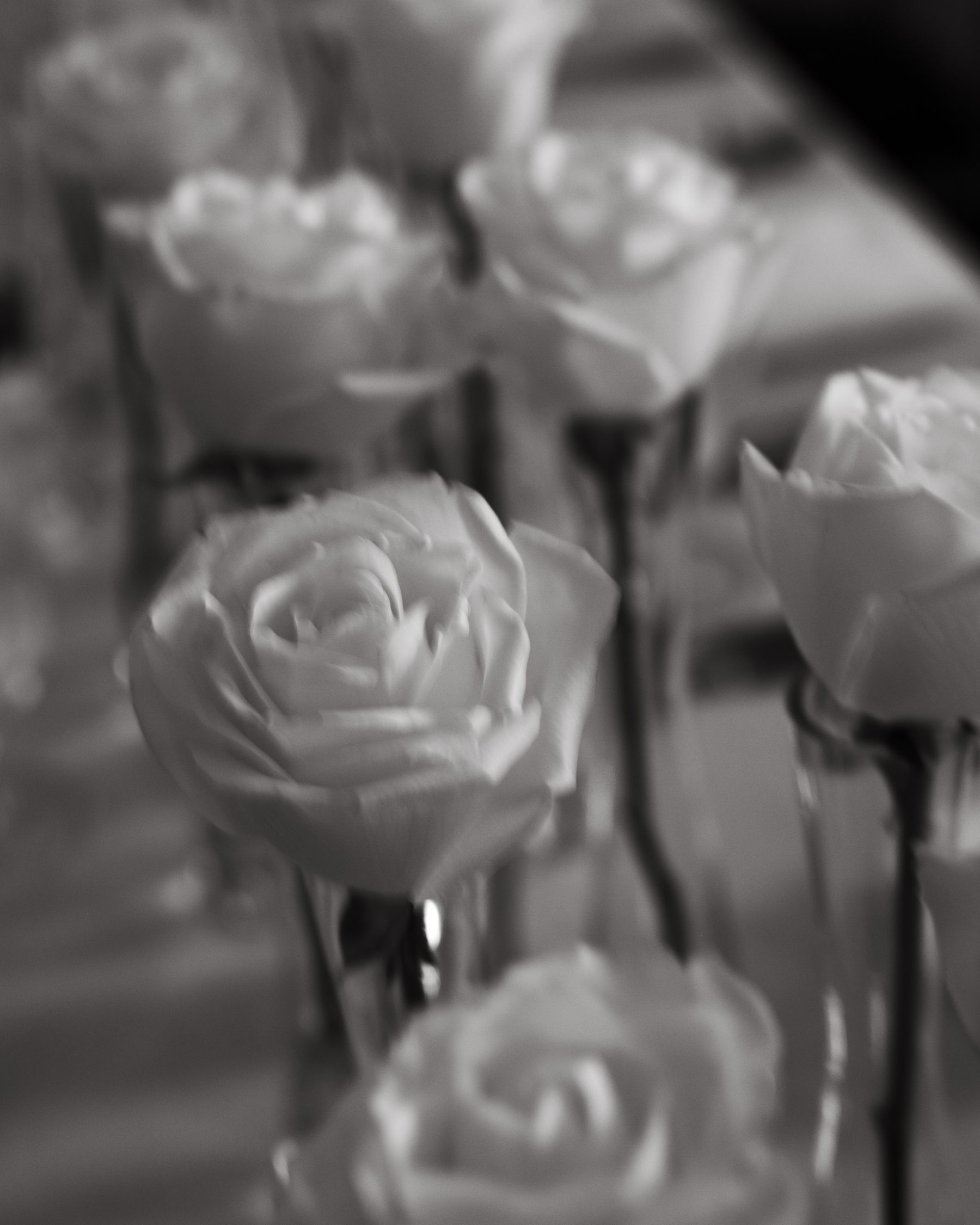 A Tale of Two Worlds: Marina &amp; Zach's Chic Chicago History Museum Wedding photo