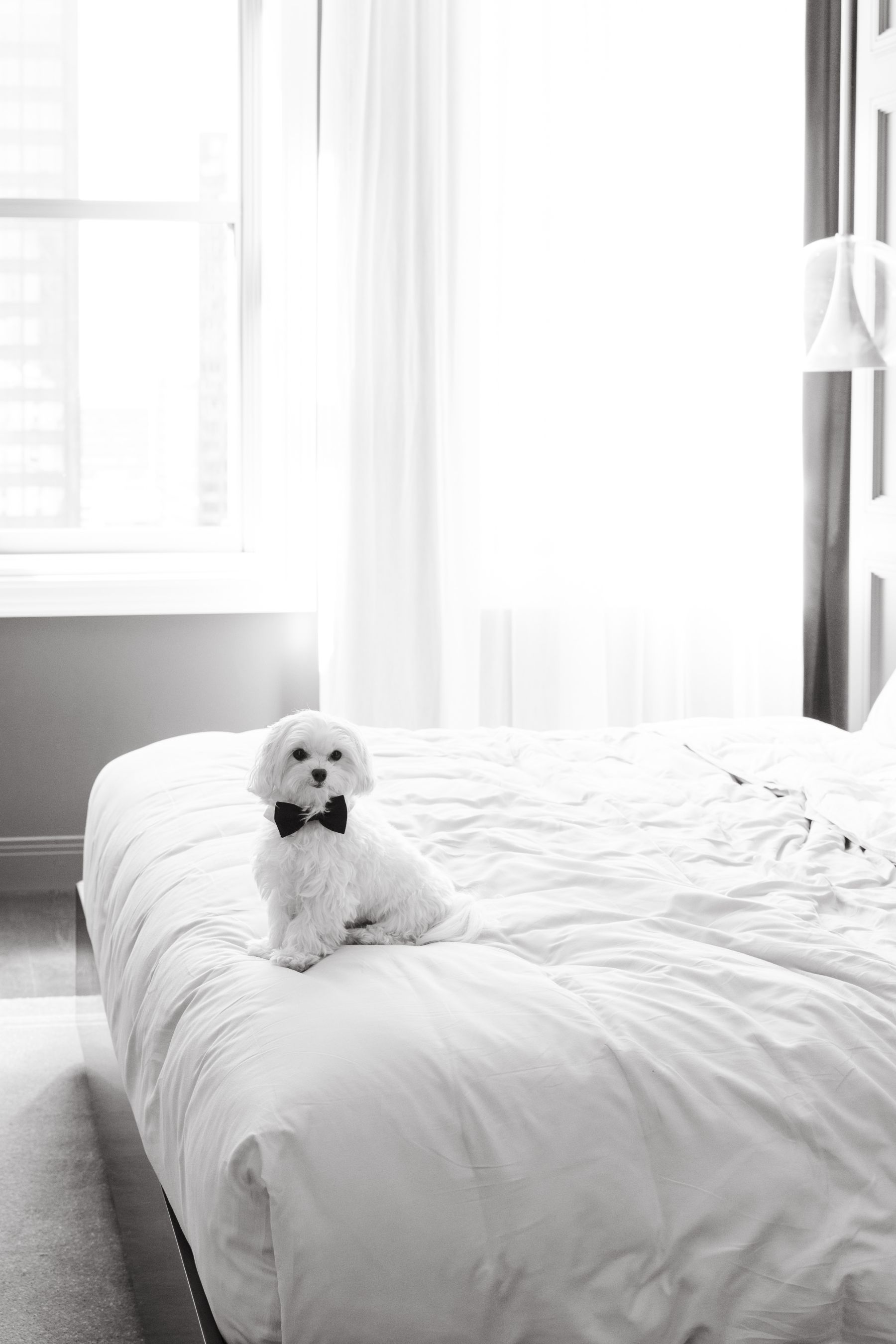 A Tale of Two Worlds: Marina &amp; Zach's Chic Chicago History Museum Wedding photo