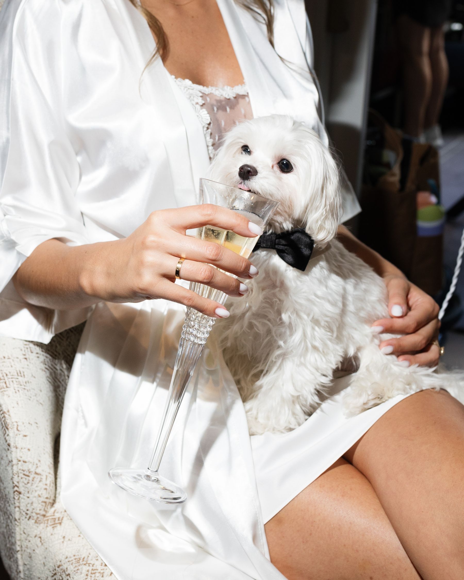 A Tale of Two Worlds: Marina &amp; Zach's Chic Chicago History Museum Wedding photo