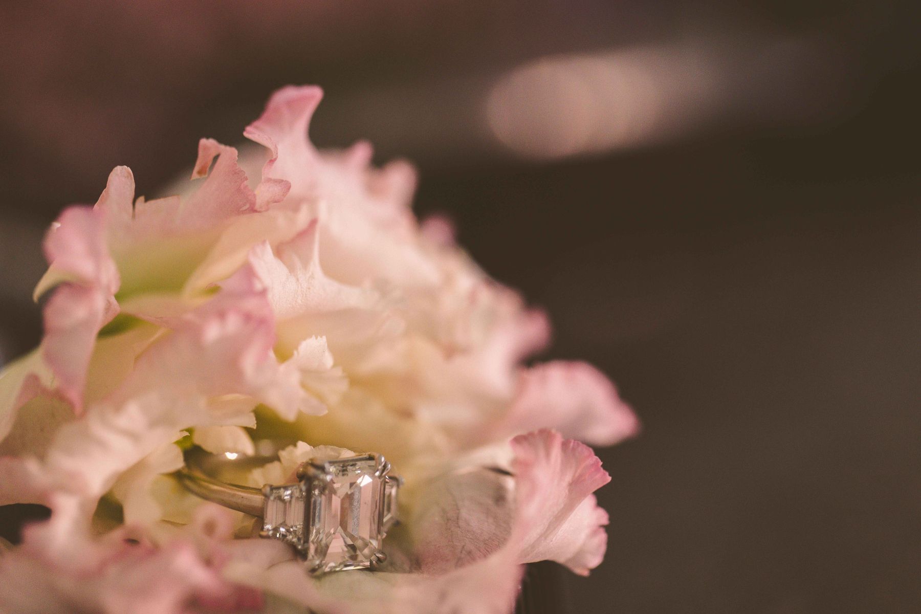 Where Love Took Root: Sophie and Jordan's Tanglewood Nuptials, A Celebration of Eternal Bloom photo