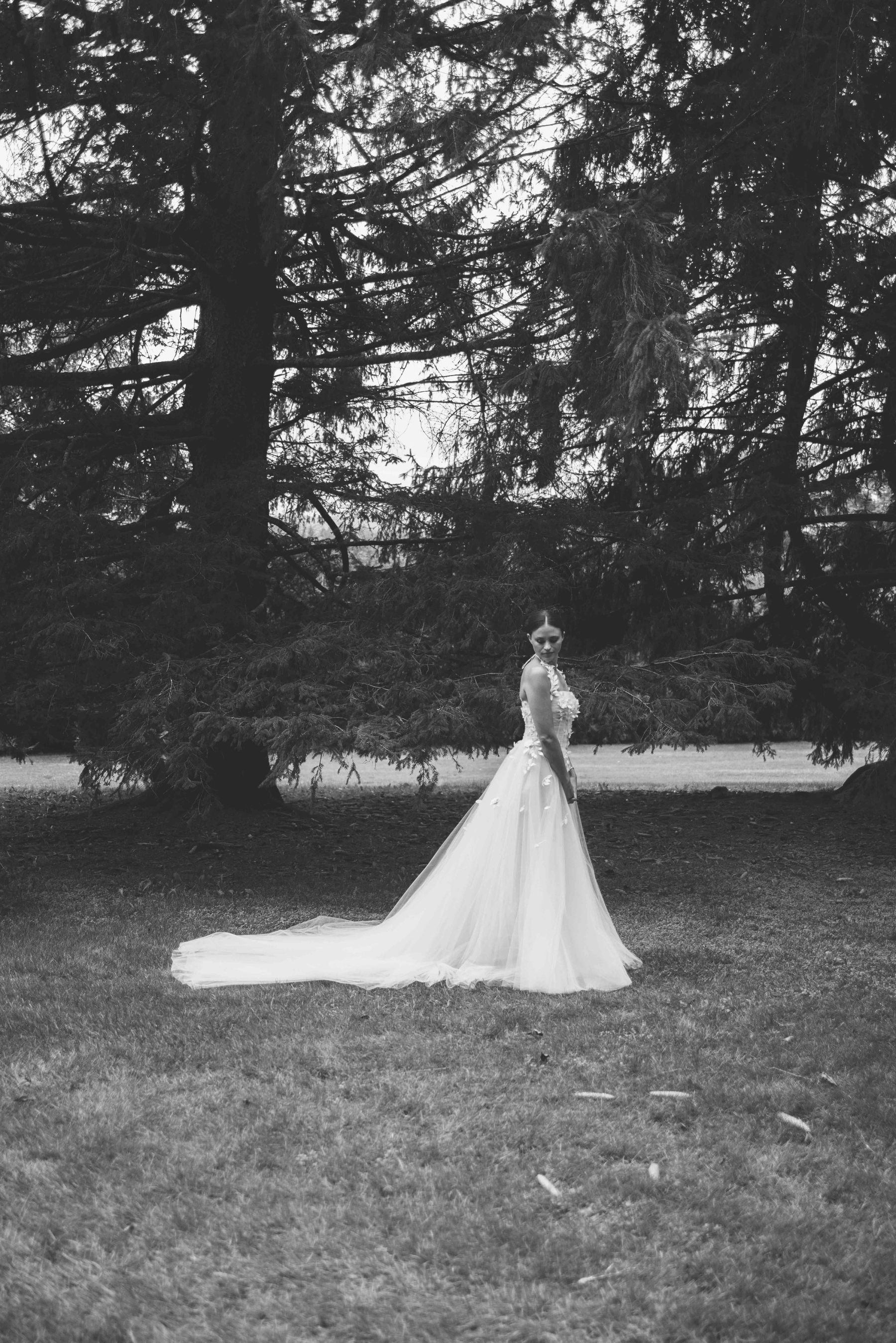 Where Love Took Root: Sophie and Jordan's Tanglewood Nuptials, A Celebration of Eternal Bloom photo