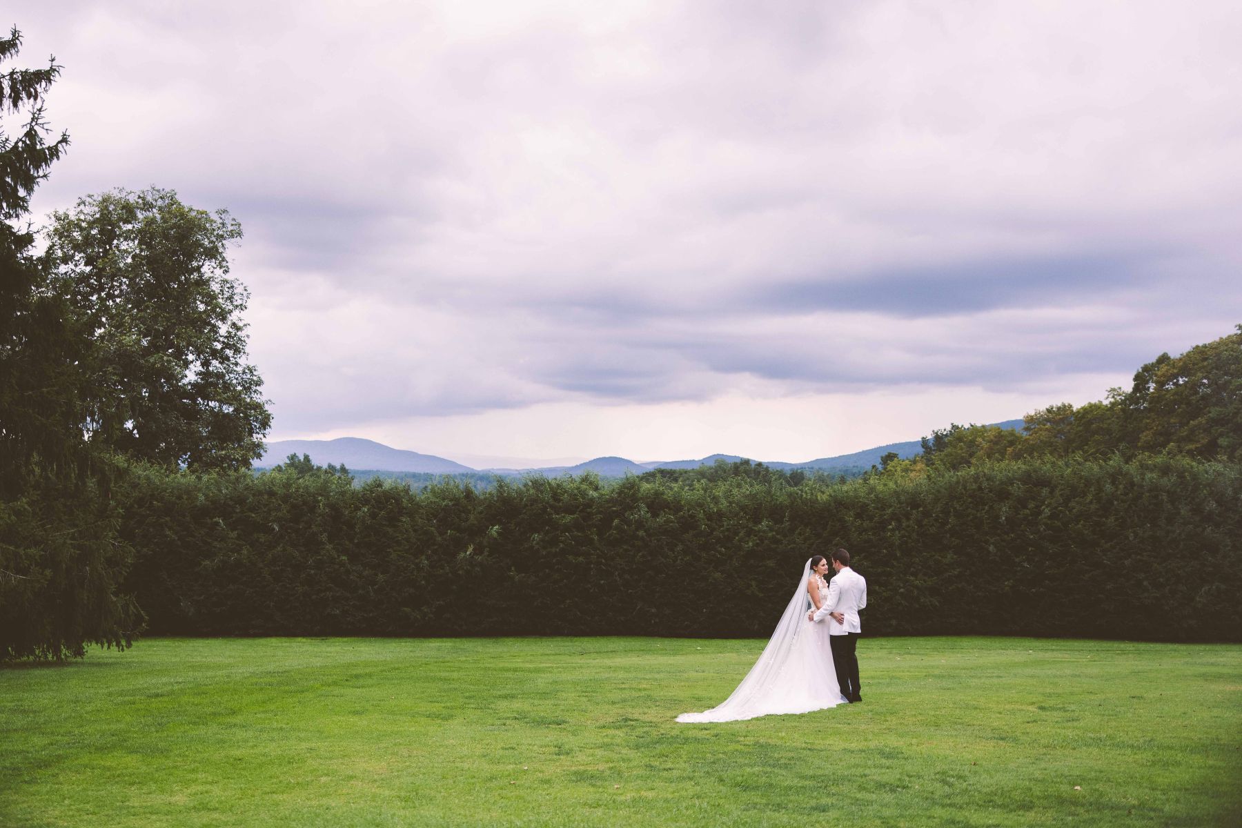 Where Love Took Root: Sophie and Jordan's Tanglewood Nuptials, A Celebration of Eternal Bloom photo