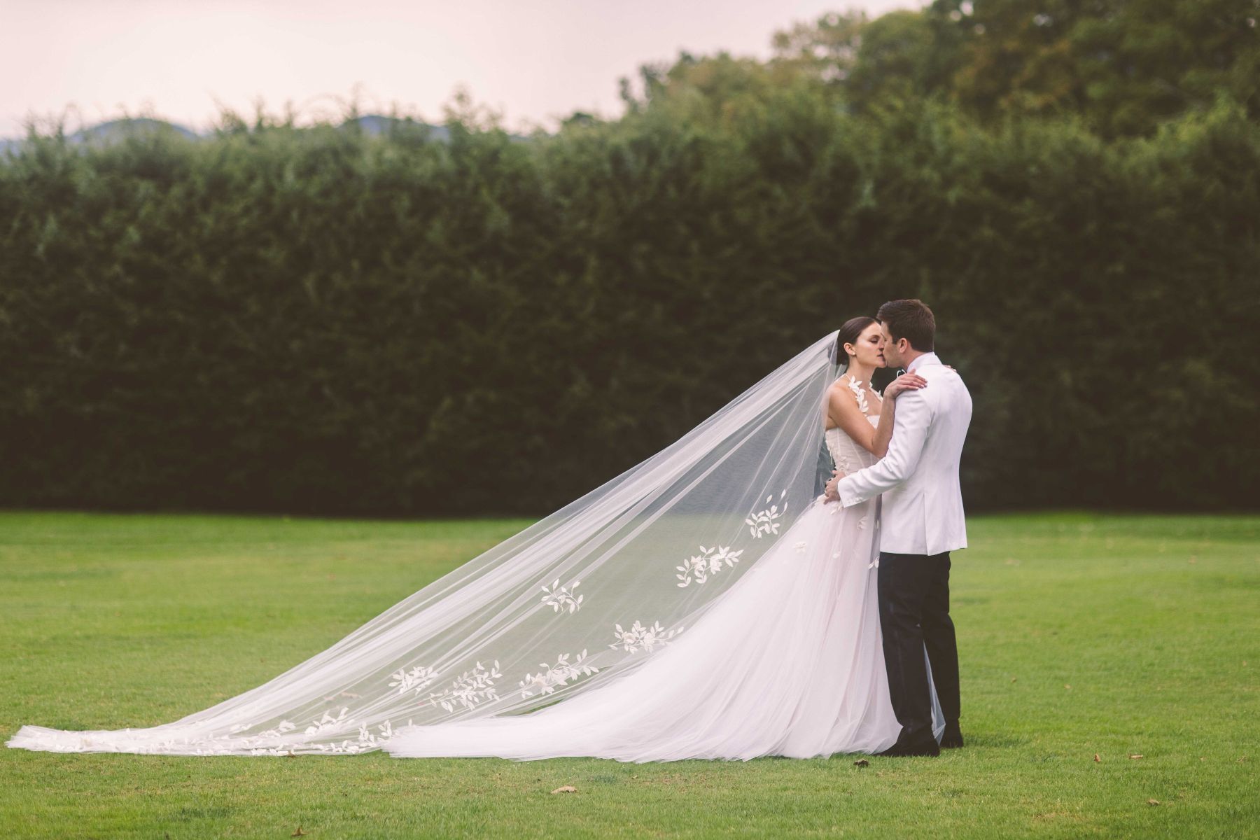 Where Love Took Root: Sophie and Jordan's Tanglewood Nuptials, A Celebration of Eternal Bloom photo