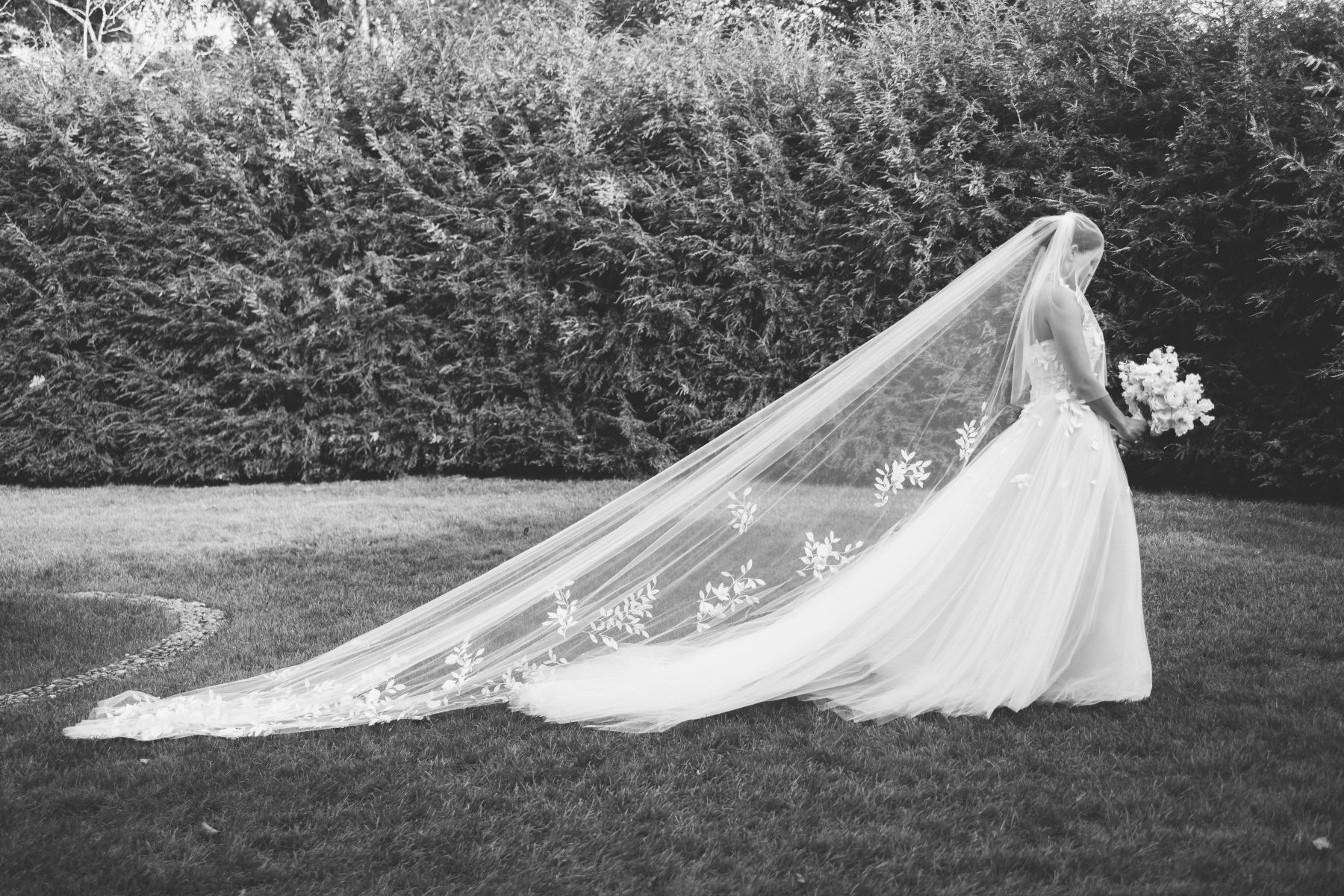 Where Love Took Root: Sophie and Jordan's Tanglewood Nuptials, A Celebration of Eternal Bloom photo