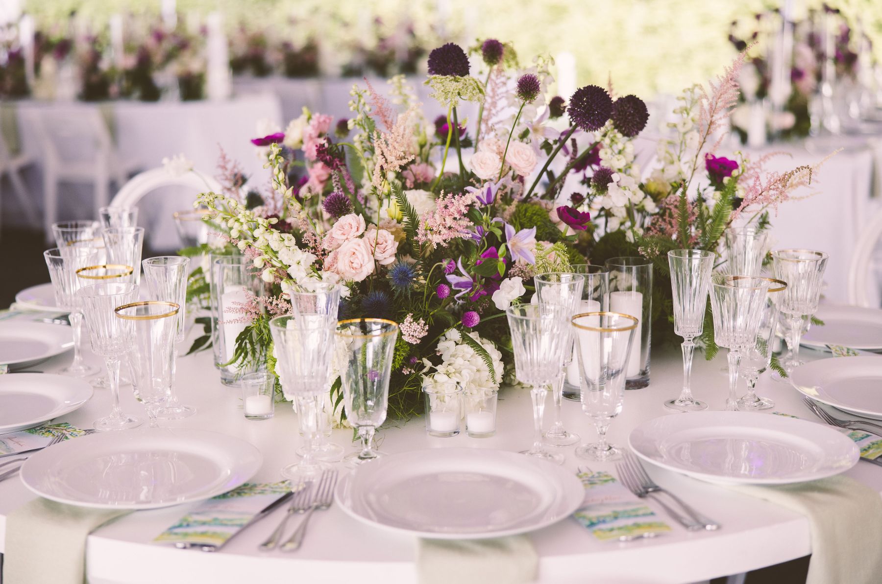 Where Love Took Root: Sophie and Jordan's Tanglewood Nuptials, A Celebration of Eternal Bloom photo