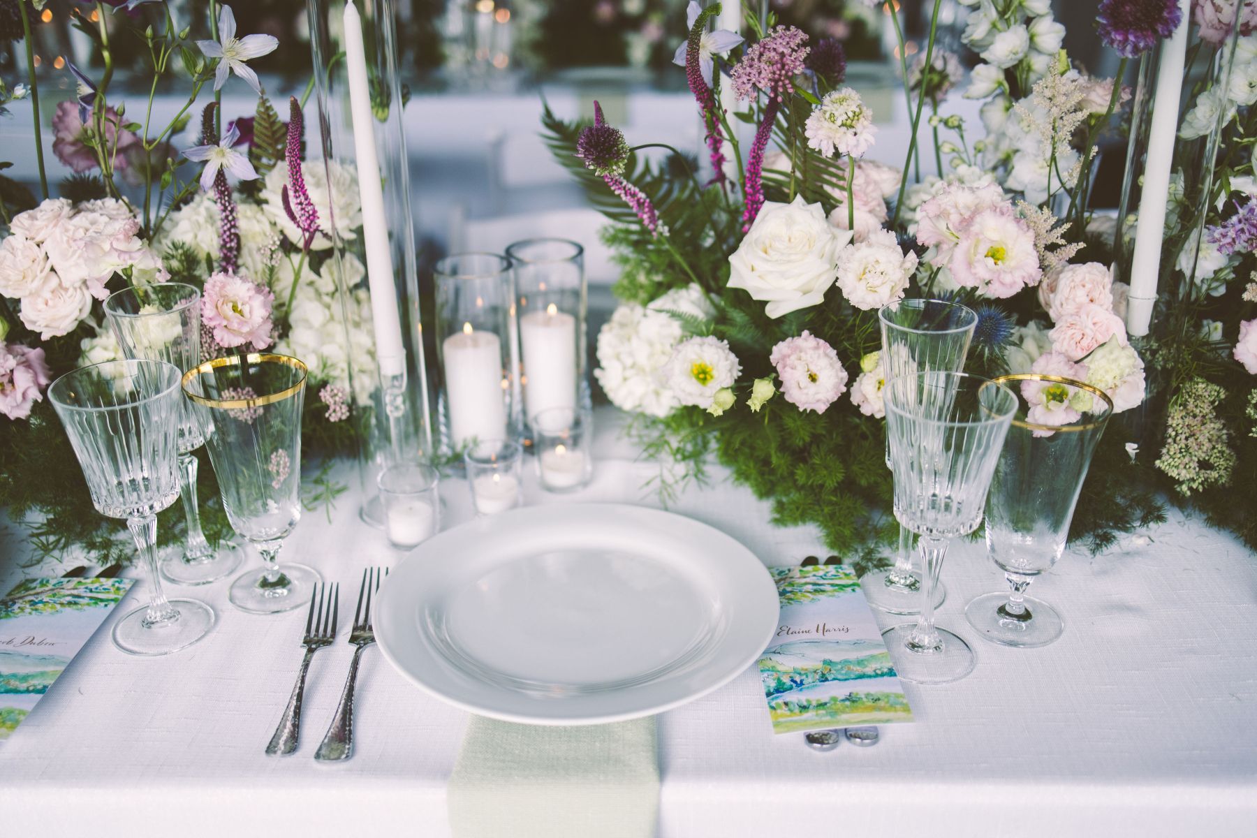 Where Love Took Root: Sophie and Jordan's Tanglewood Nuptials, A Celebration of Eternal Bloom photo