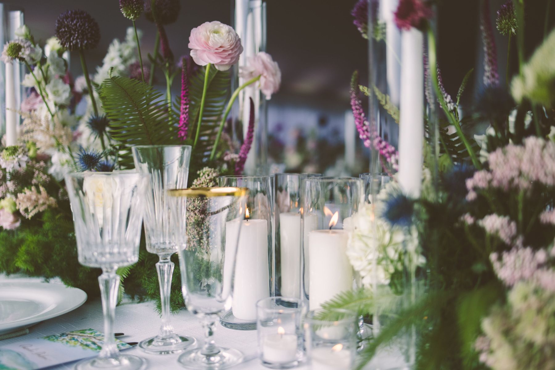 Where Love Took Root: Sophie and Jordan's Tanglewood Nuptials, A Celebration of Eternal Bloom photo