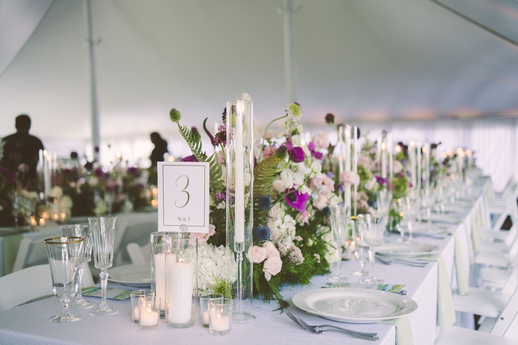 Where Love Took Root: Sophie and Jordan's Tanglewood Nuptials, A Celebration of Eternal Bloom photo