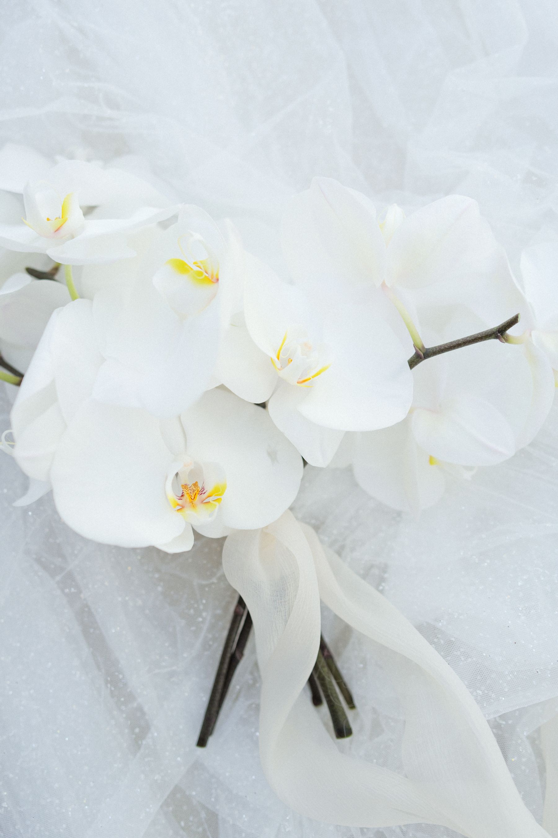 Written in the Stars: Janina and Filip's Coastal Celebration at Maslina Resort photo