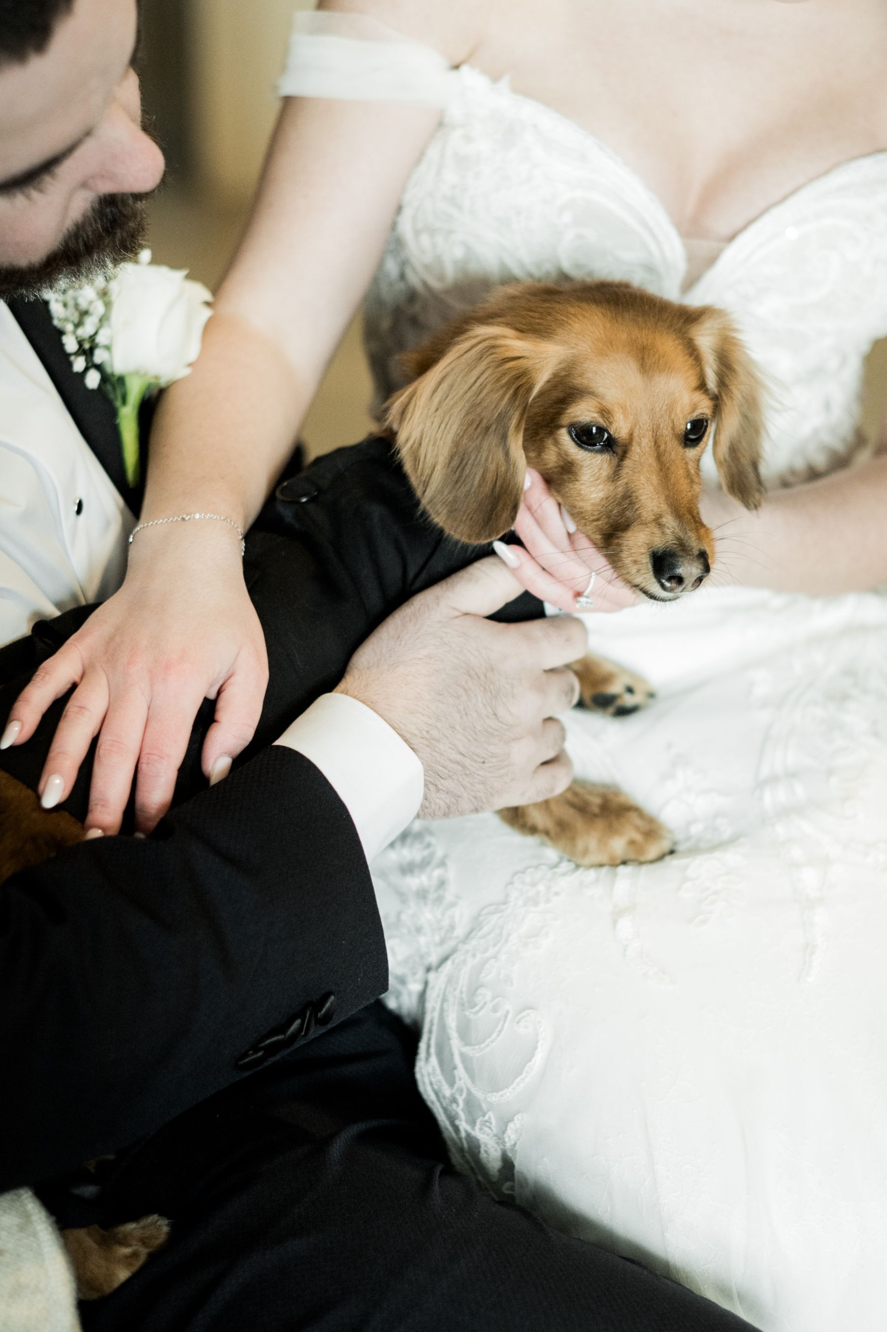 Dancing Through Life: Julia and Diogo's Harmonious Union at The Pearle Hotel &amp; Spa photo