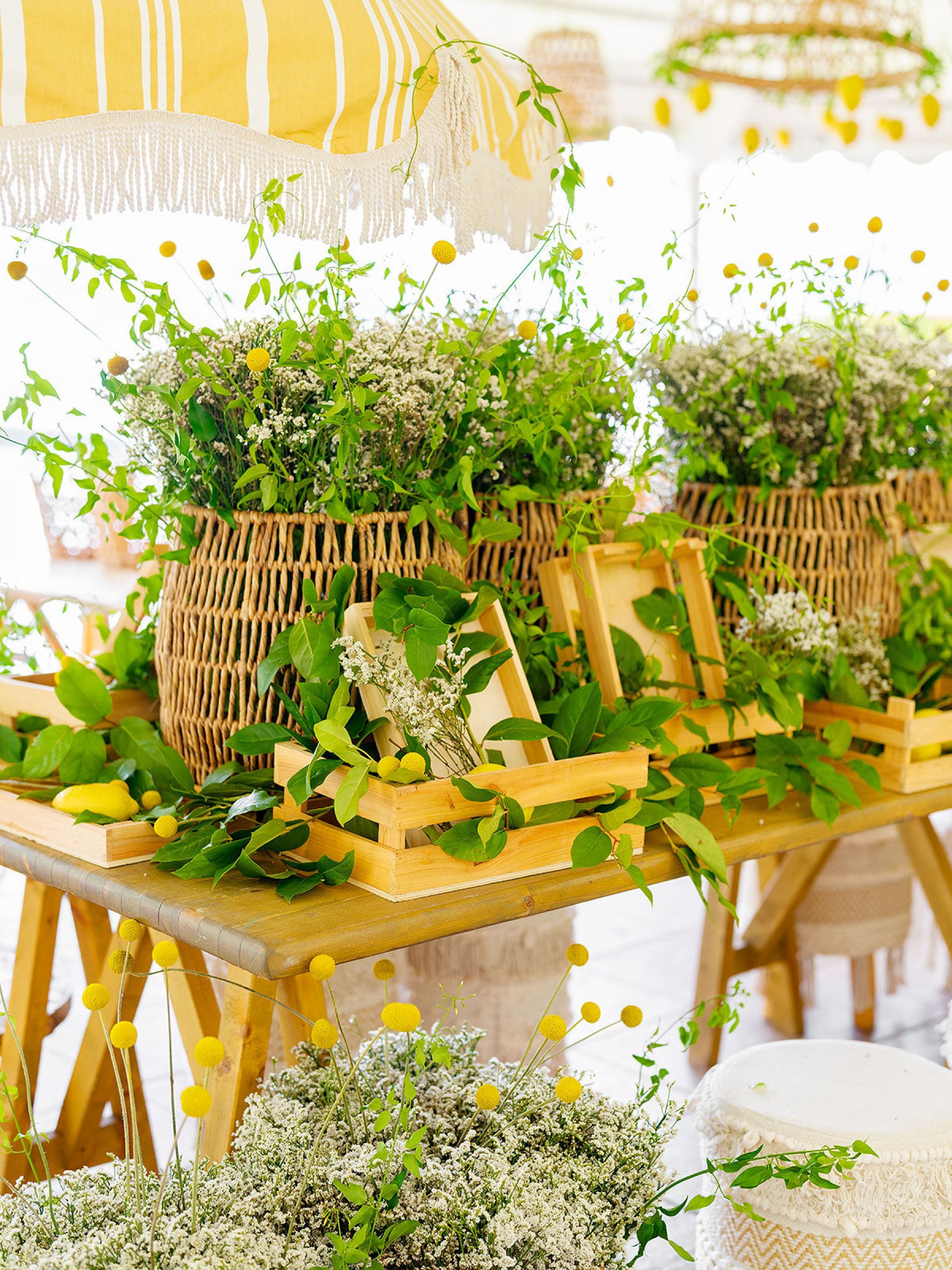 Echoes of La Dolce Vita: Celebrating Daniella and Kevin’s Love at Villa Erba photo