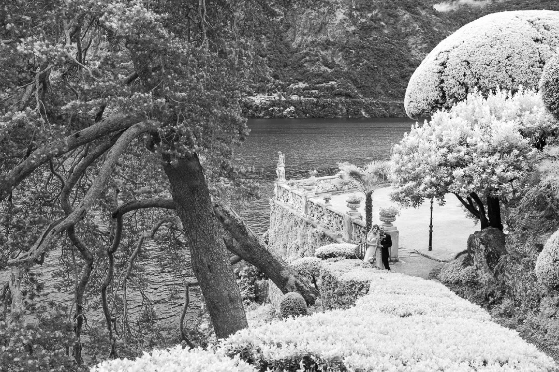 Eternal Love, Italian Style: Shideh and Payam's Charming Wedding at Villa Balbianello photo