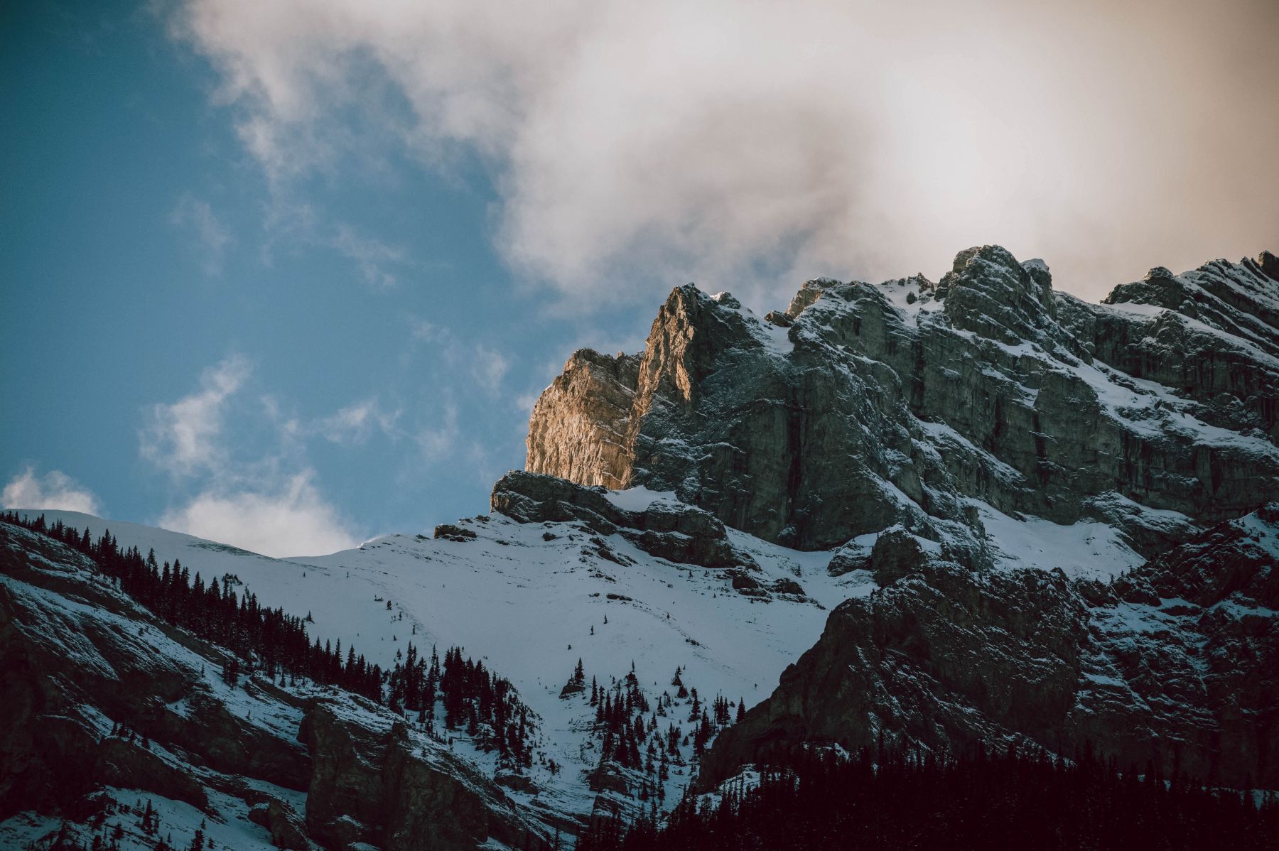 A Banff Wedding to Remember: Zari and Cam's Timeless Wedding at The BlueBird Wood-Fired Steakhouse photo