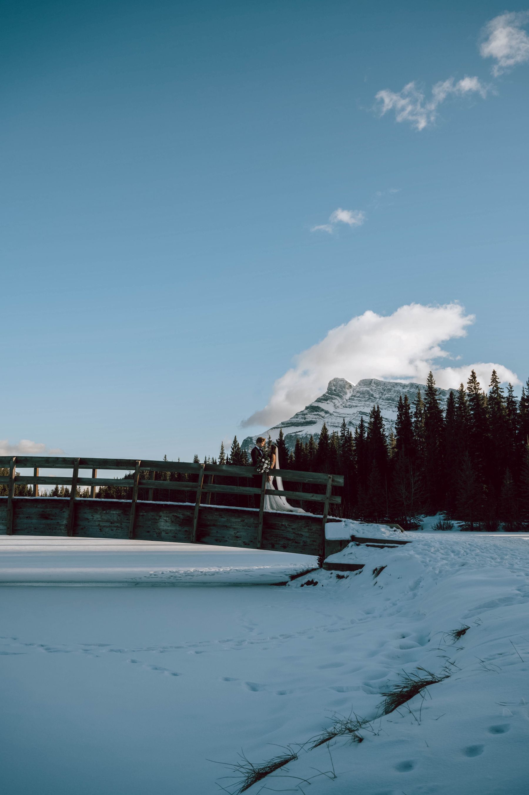 A Banff Wedding to Remember: Zari and Cam's Timeless Wedding at The BlueBird Wood-Fired Steakhouse photo