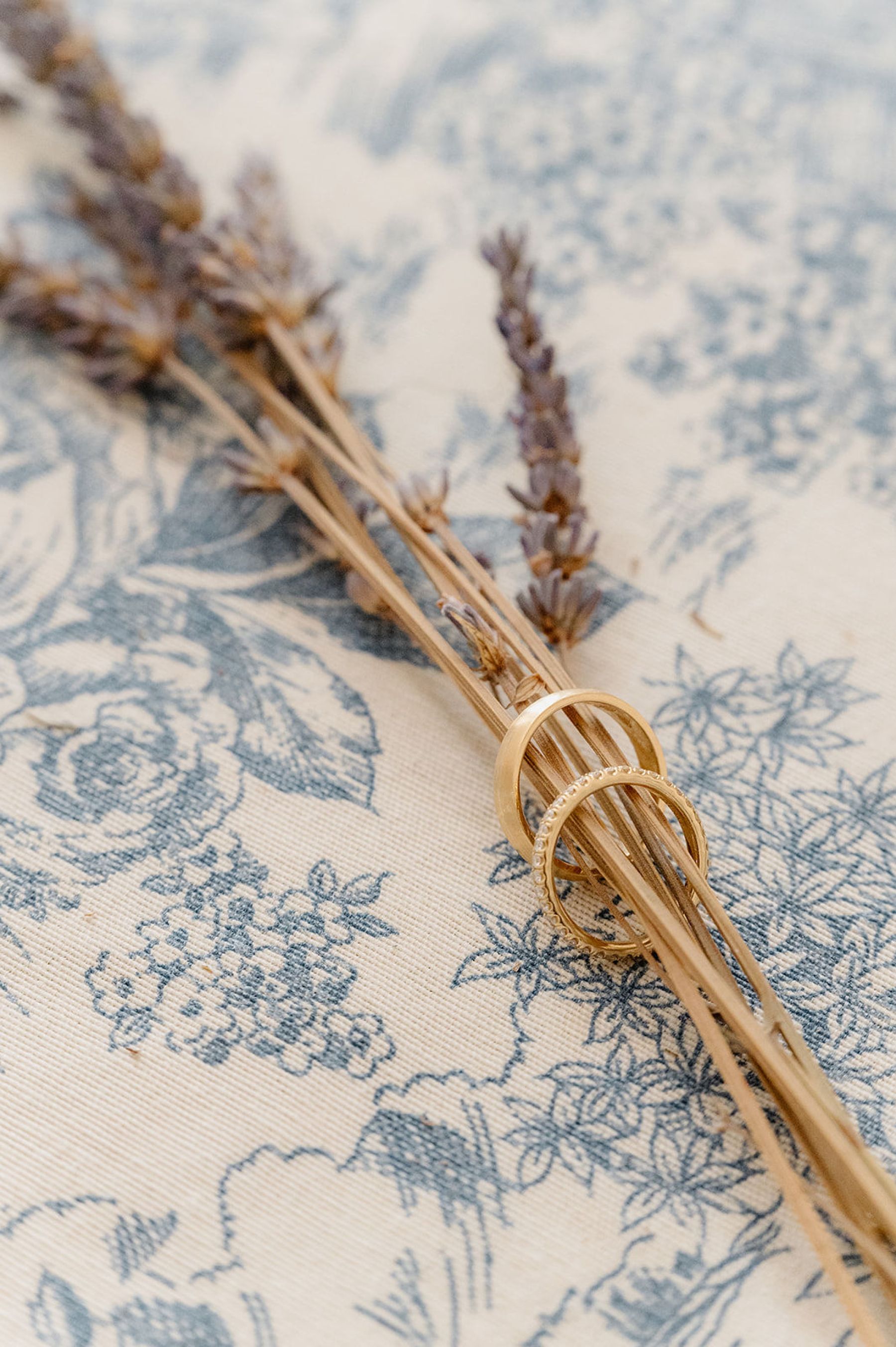 A Provençal Dream: Jovana and Matthias' Elegant French Wedding at Bastide des Barattes photo