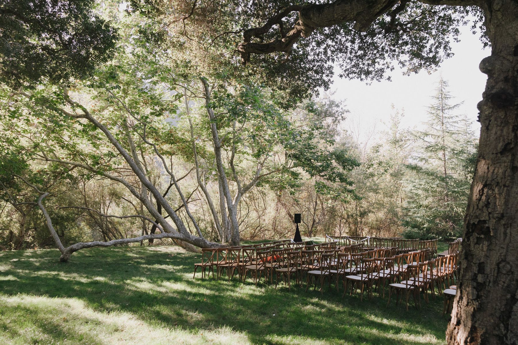 Madison and Scott's Intimate Backyard-Style Wedding at Gardener Ranch photo