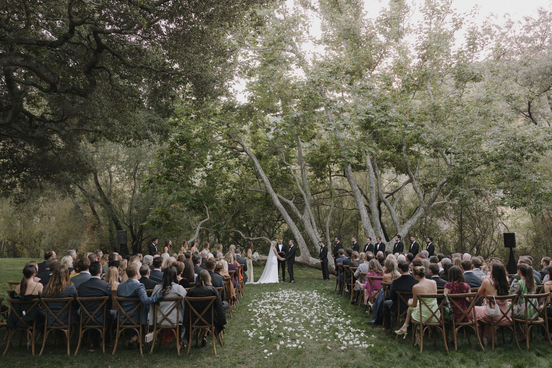 Madison and Scott's Intimate Backyard-Style Wedding at Gardener Ranch photo