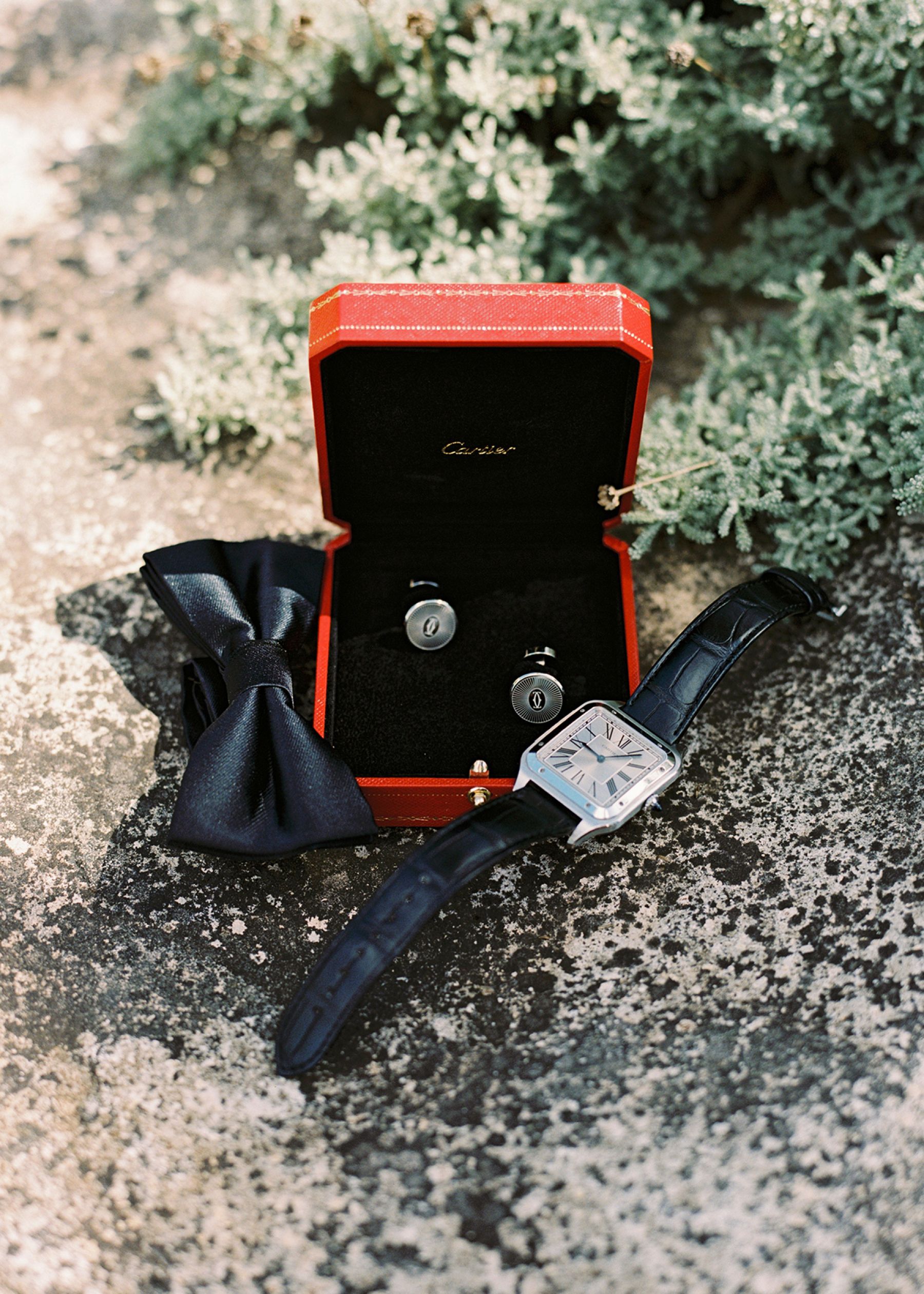 From Chance Meeting to Happily Ever After: Marianna and Nikita's Passion-Filled Italian Wedding at Castello Monaci photo