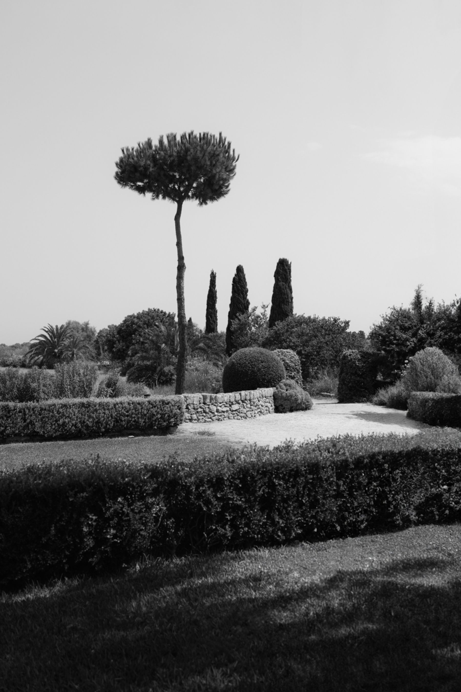 A Sicilian Dream: Marissa &amp; Lewis's Elegant Wedding at Commenda di San Calogero photo
