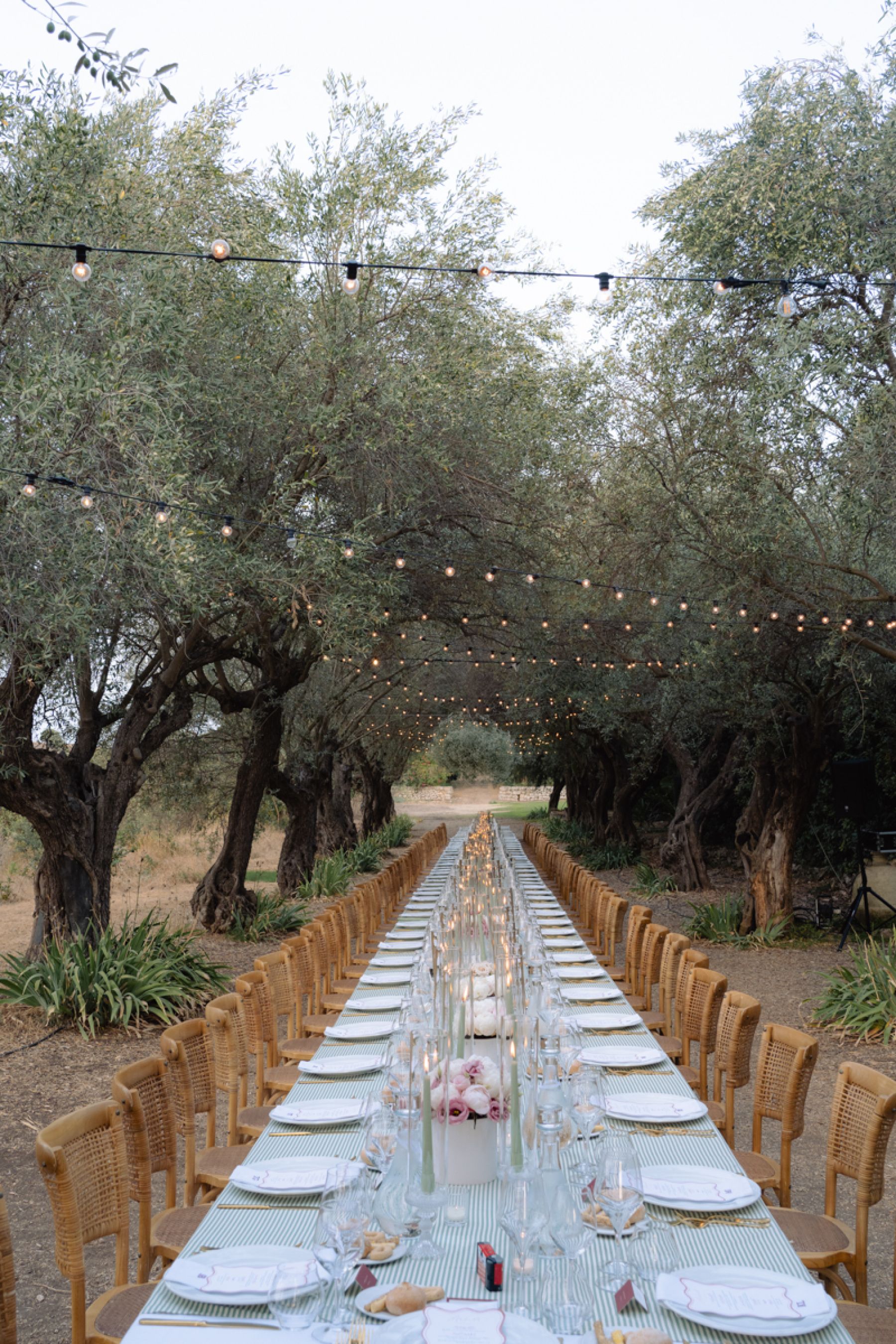 A Sicilian Dream: Marissa &amp; Lewis's Elegant Wedding at Commenda di San Calogero photo