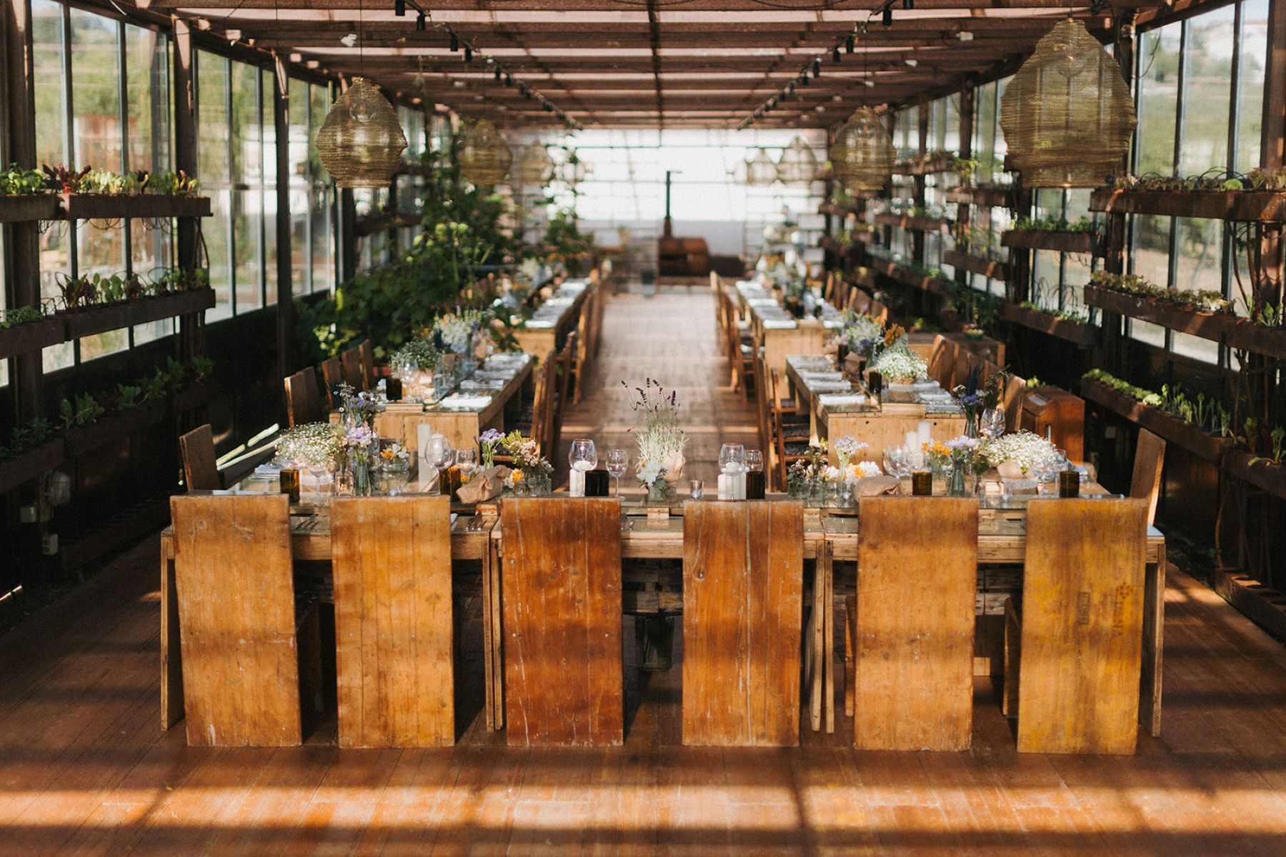 A Sun-Drenched Love Story: Alex &amp; Rich's Elegant Portuguese Wedding at Rio do Prado photo
