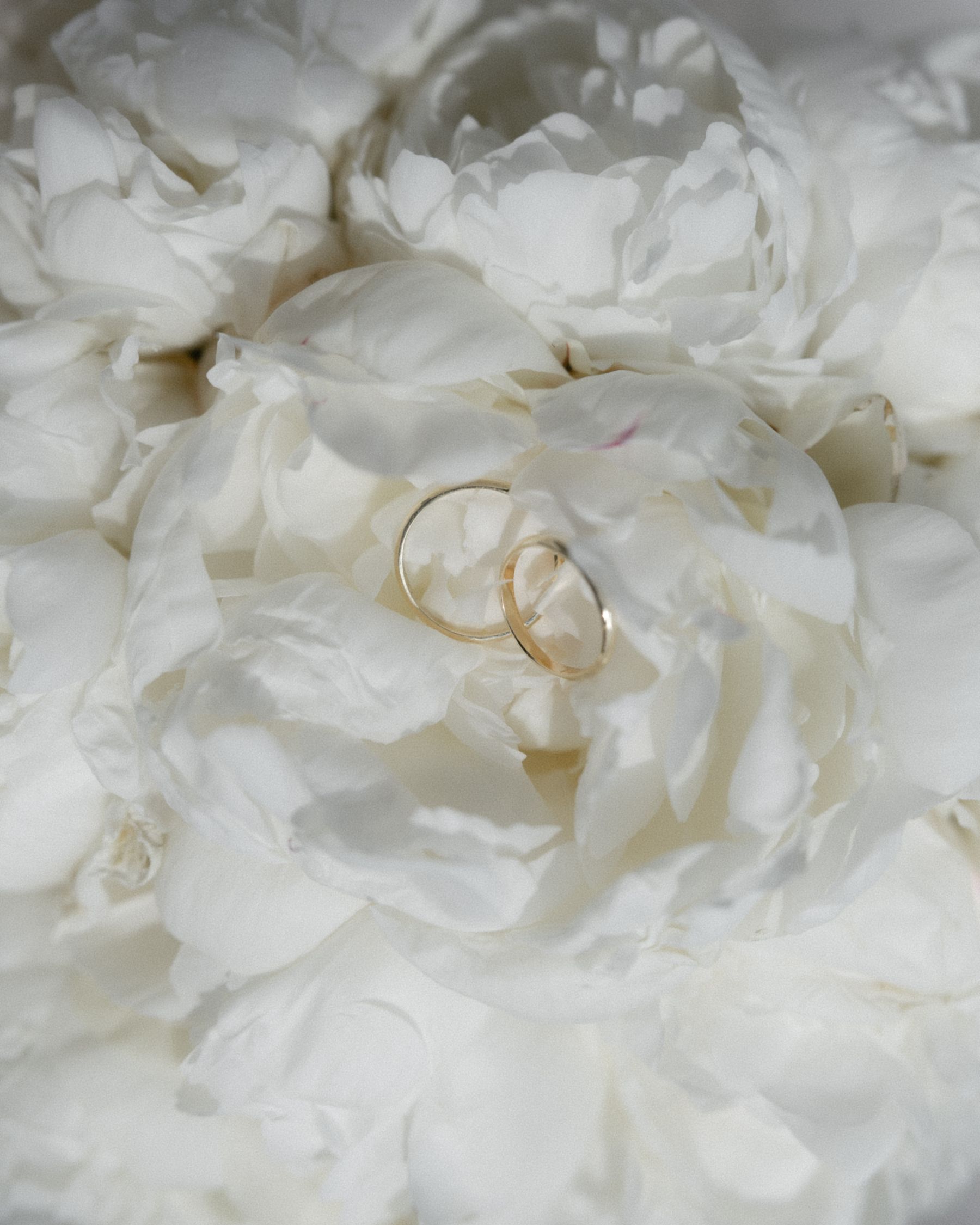 A Mediterranean Summer Love Story: Claudia and Borja's Colorful Wedding at La Huerta del Peñalen photo