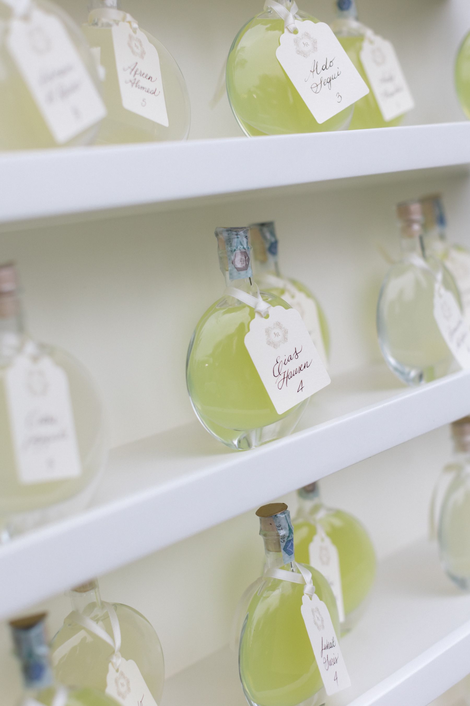 A Love Story from Instagram to the Amalfi Coast: Renee &amp; Joseph’s Dreamy Wedding at Villa Eva photo