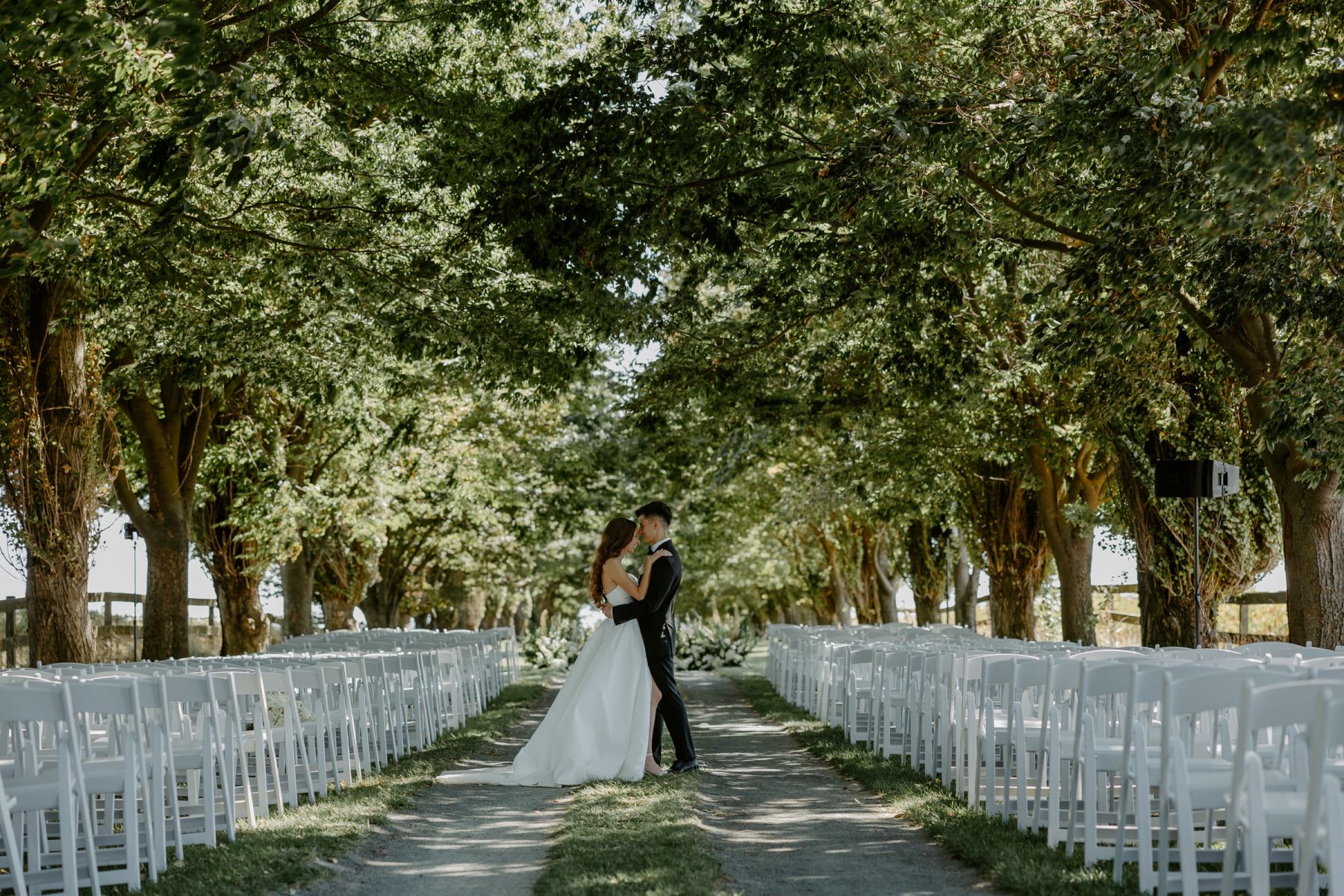 Under the Golden Sun: Lily &amp; Alik’s Wedding at Cavaignac Estate photo