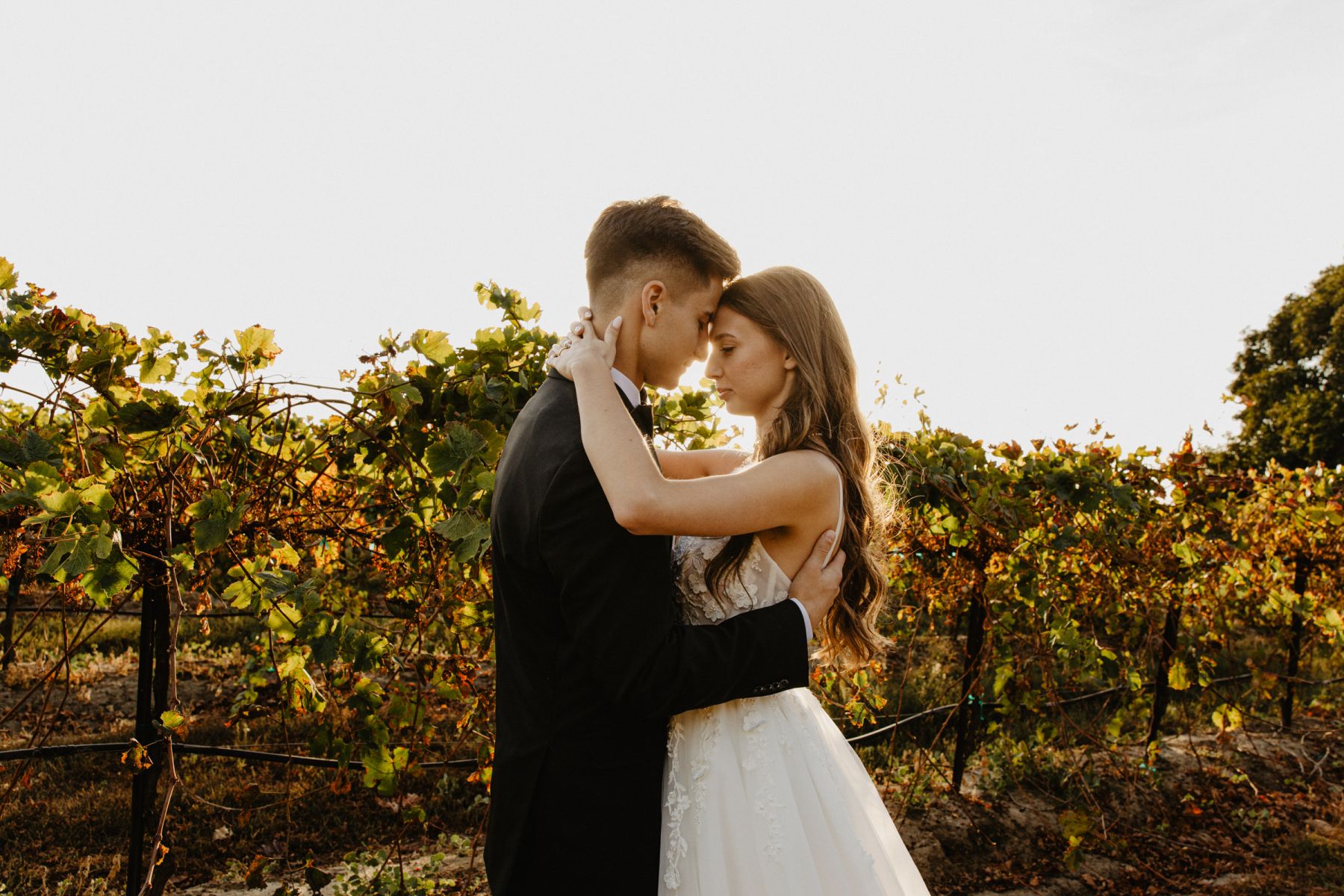 Under the Golden Sun: Lily &amp; Alik’s Wedding at Cavaignac Estate photo