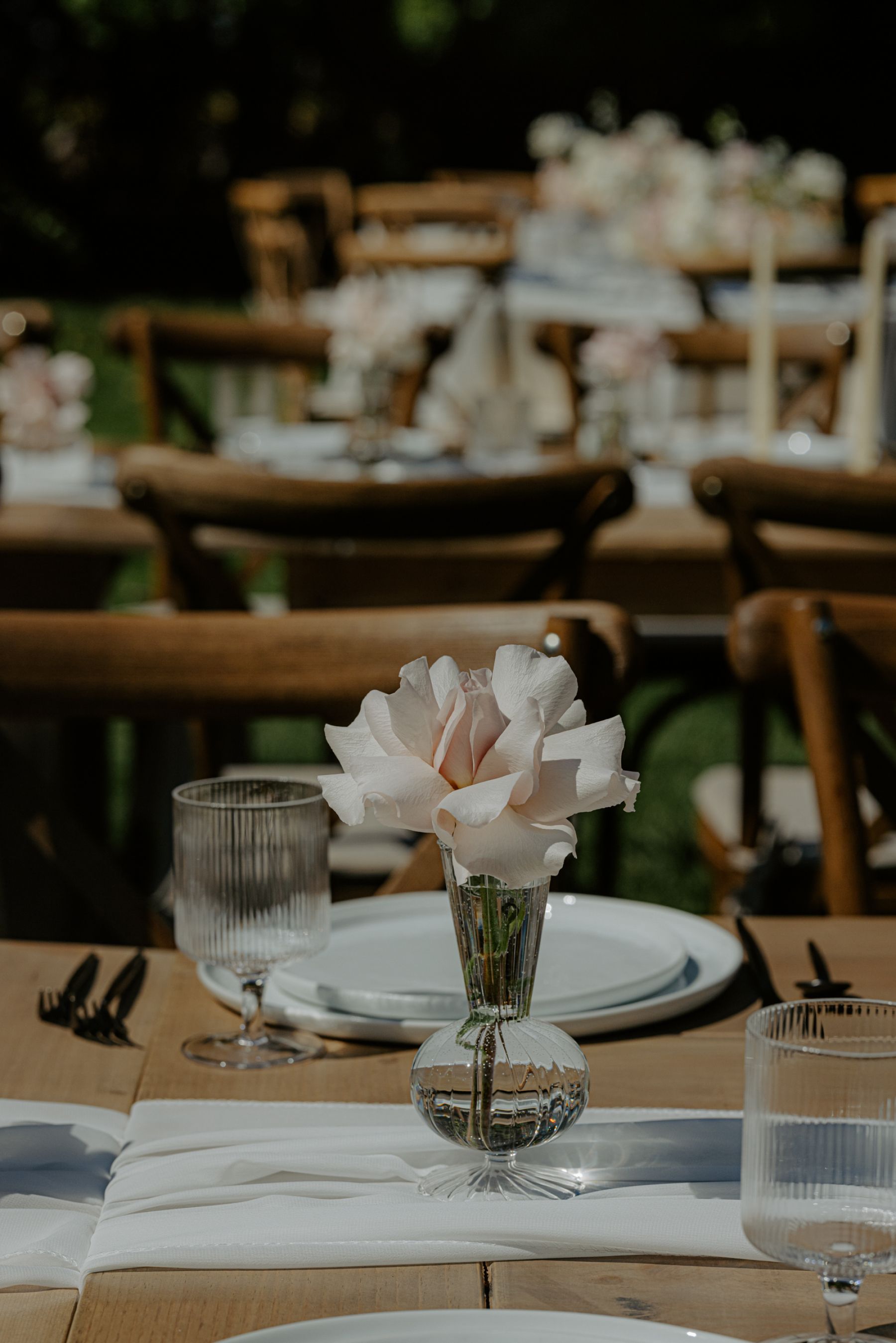 Under the Golden Sun: Lily &amp; Alik’s Wedding at Cavaignac Estate photo