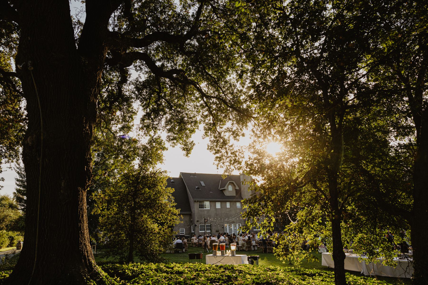 Under the Golden Sun: Lily &amp; Alik’s Wedding at Cavaignac Estate photo