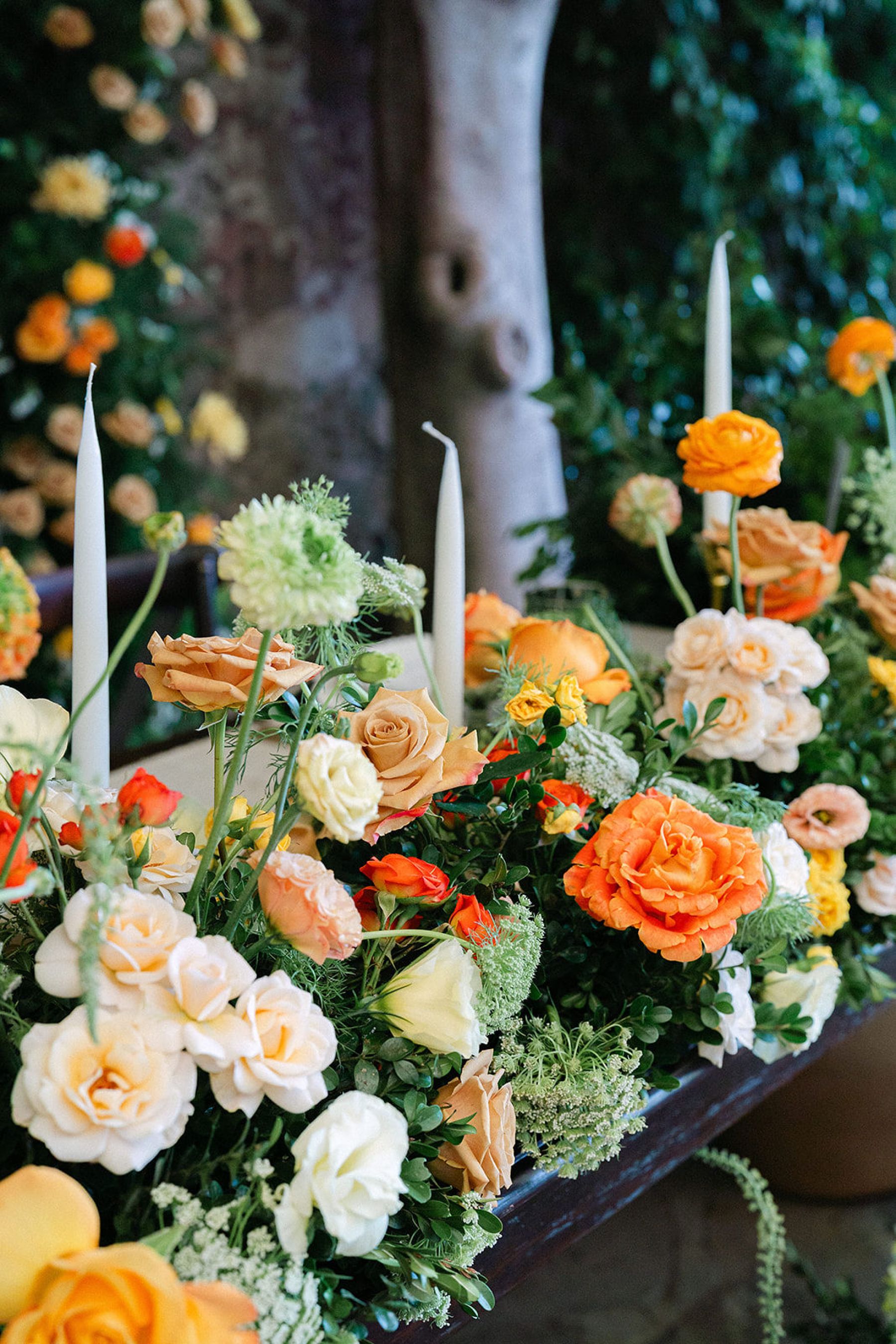 San Miguel de Allende Magic: Matt and Ian's Desert-Inspired Destination Wedding at Instituto Allende photo