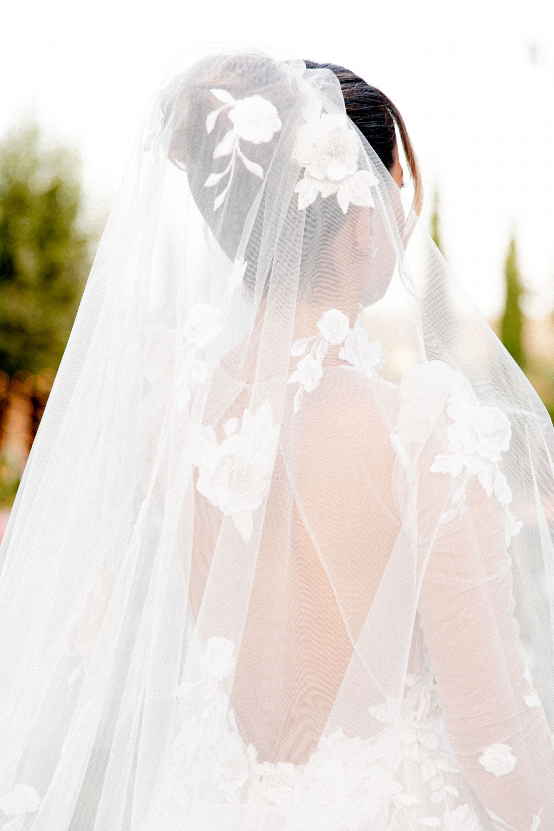 Despina and Aaron's Destination Wedding at the Pyrgos Petreza photo