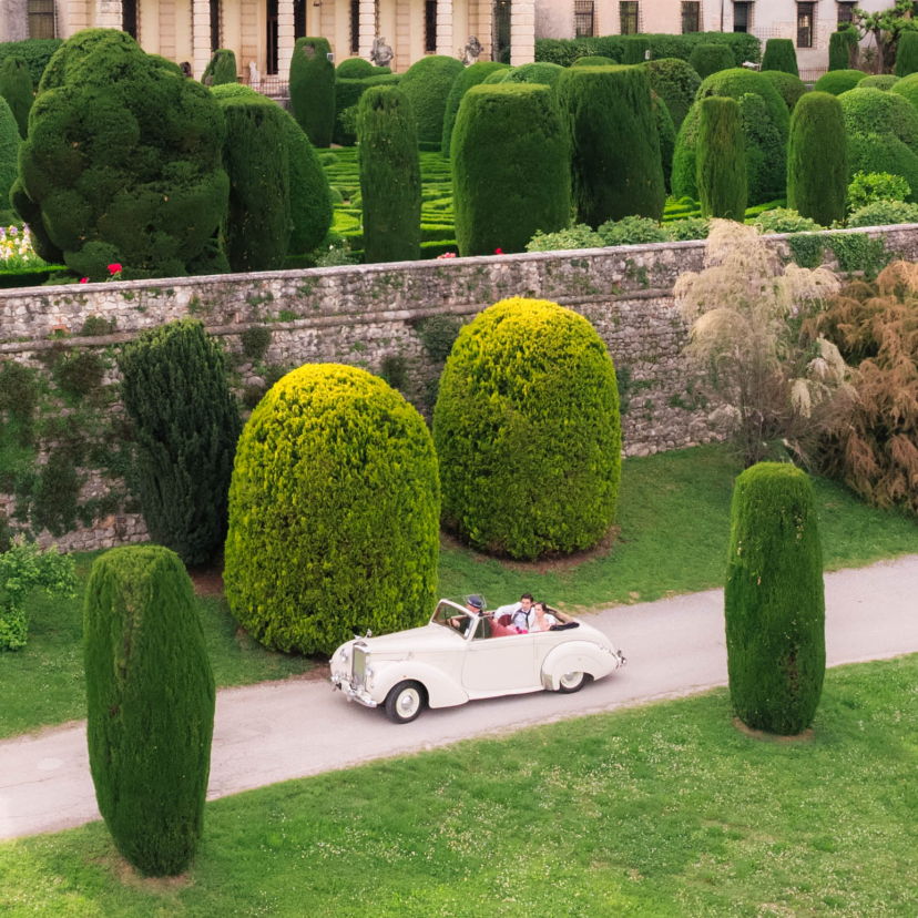 Denis Weddings Photographer