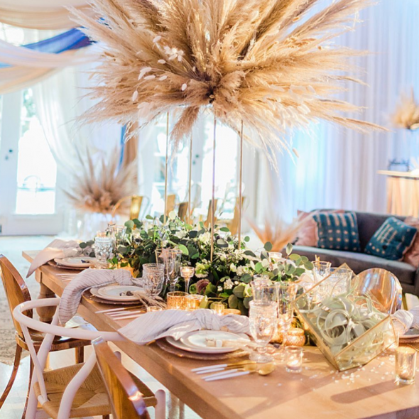 Leilani Social Planner