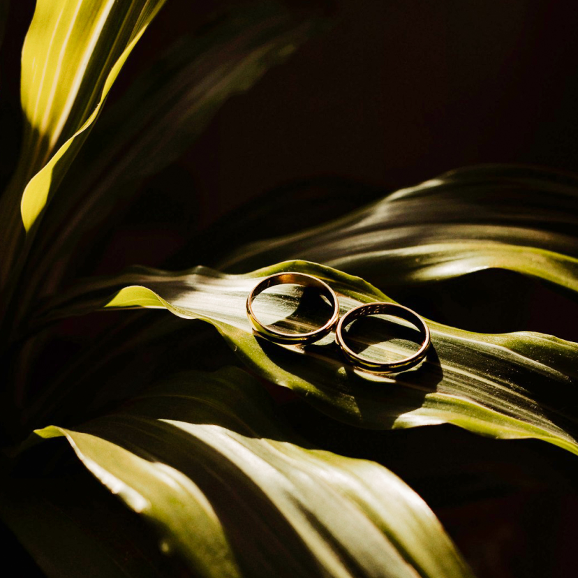 Giorgio Di Fini Videographer