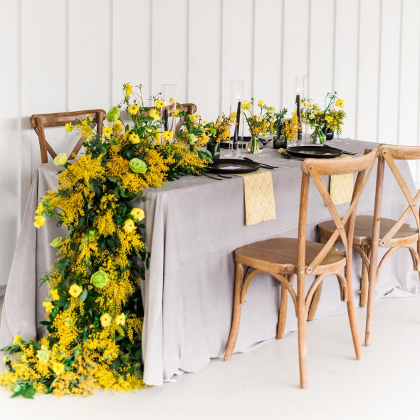 Hopeful Event Planner