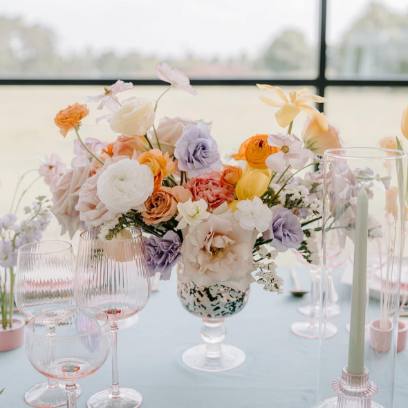 Hopeful Event Planner