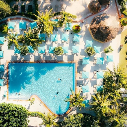 The Palms Hotel & Spa Venue | Real Weddings