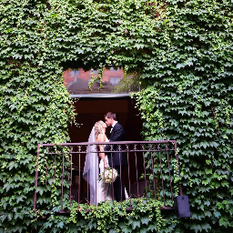 Ivy Room at Tree Studios Venue